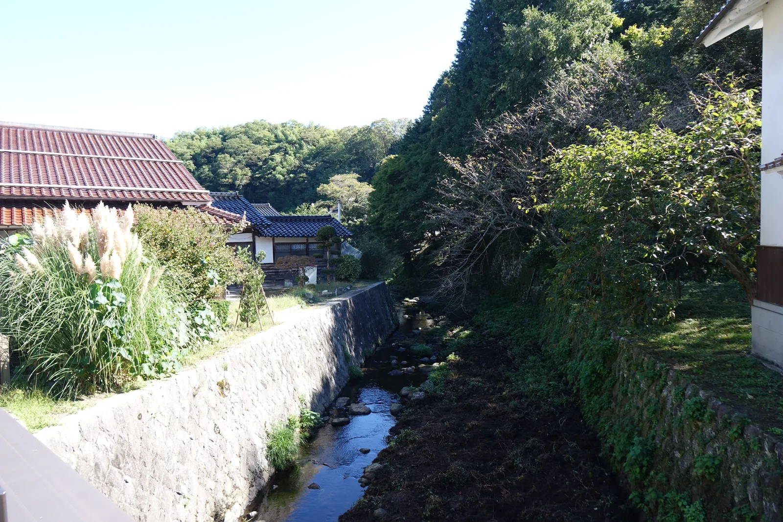 大森町西側的銀山川，水流被石垣夾成一道窄溝，芒草從石縫裡長出來，對岸是谷壁