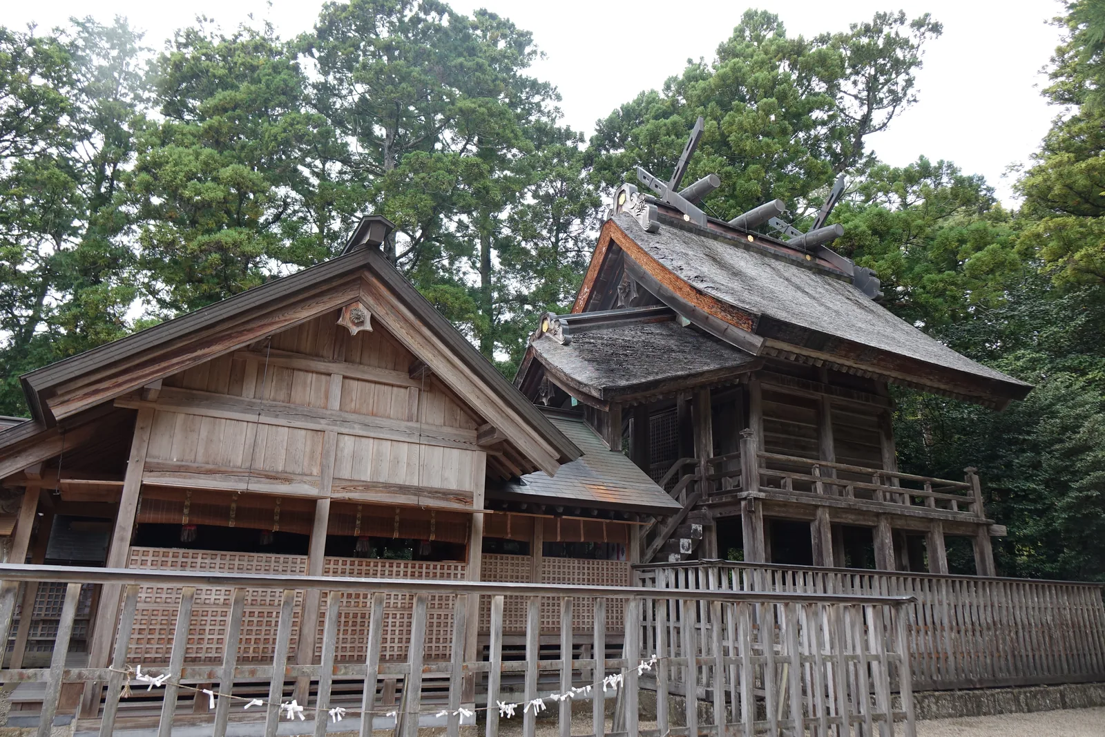 須佐神社的大社造本殿，切妻栩葺的屋頂，脊上交叉著千木與橫置的鰹木，建物架在柱上四周有高欄
