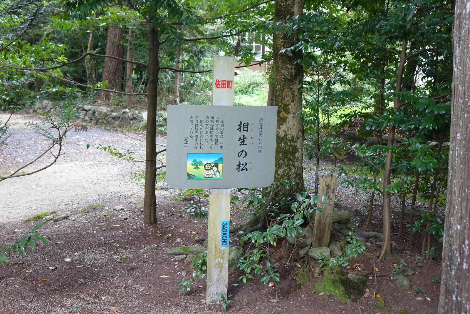 須佐神社本殿後方「相生の松」的標柱，柱身寫「佐田町 SADACHO」