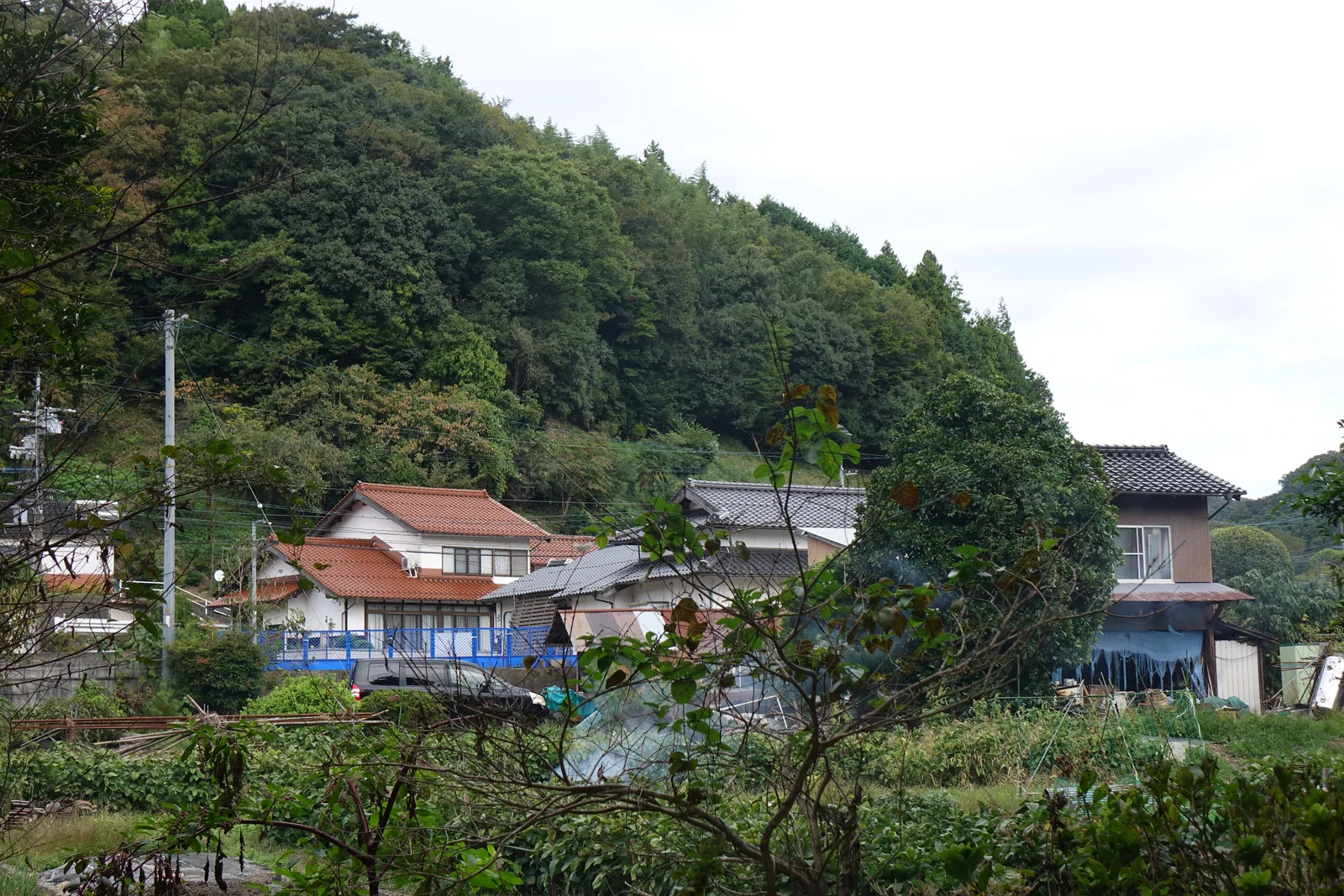 從稍高處看須佐的家並，紅瓦與藍色屋頂夾在山腳與水田之間，後面是杉的人工林