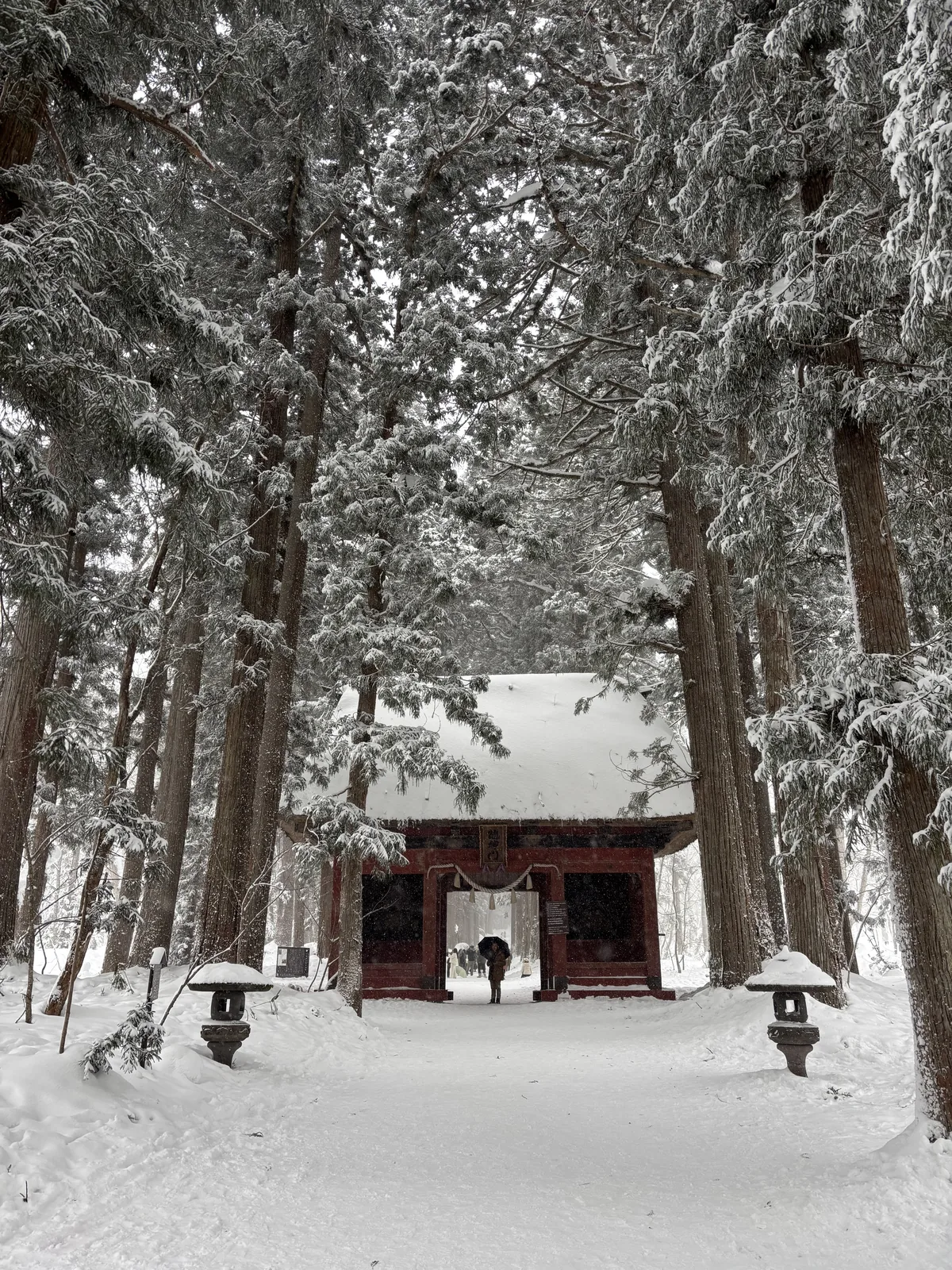 深雪中的戶隱神社奧社參道隨神門，茅葺屋頂被雪蓋成一個渾圓的丘