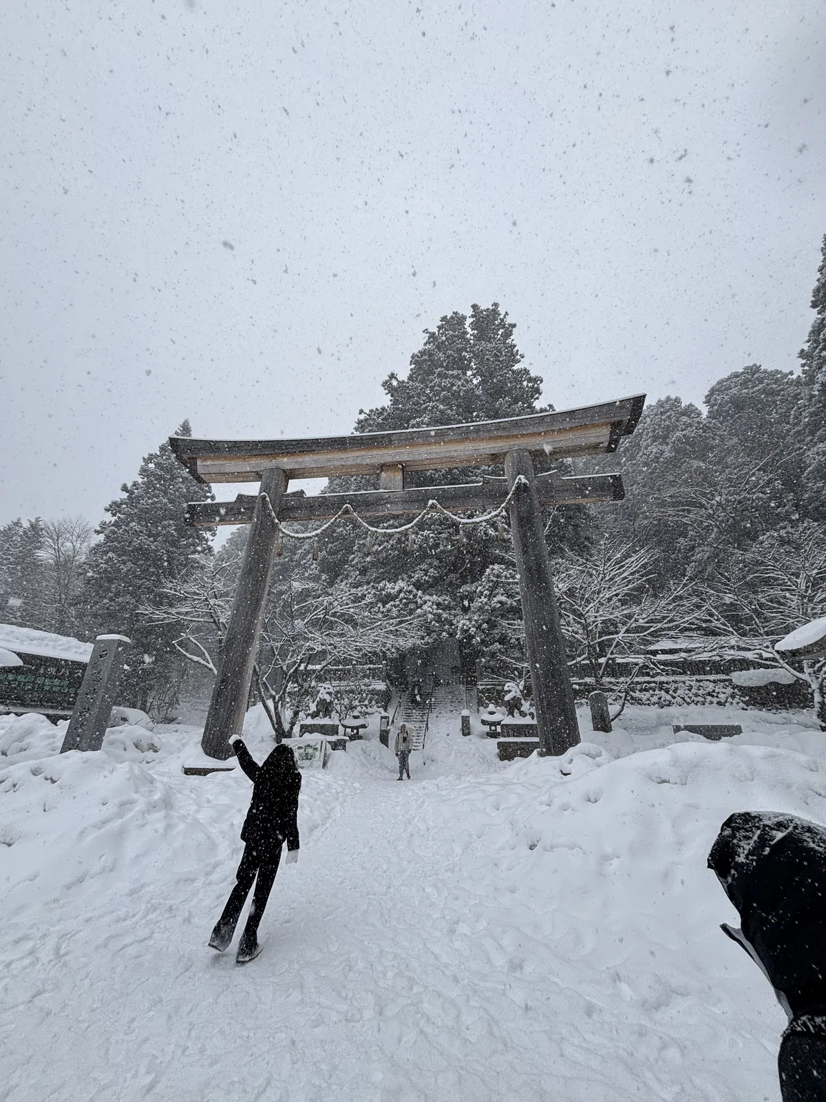 雪中的戶隱神社中社大鳥居，笠木上積著厚雪