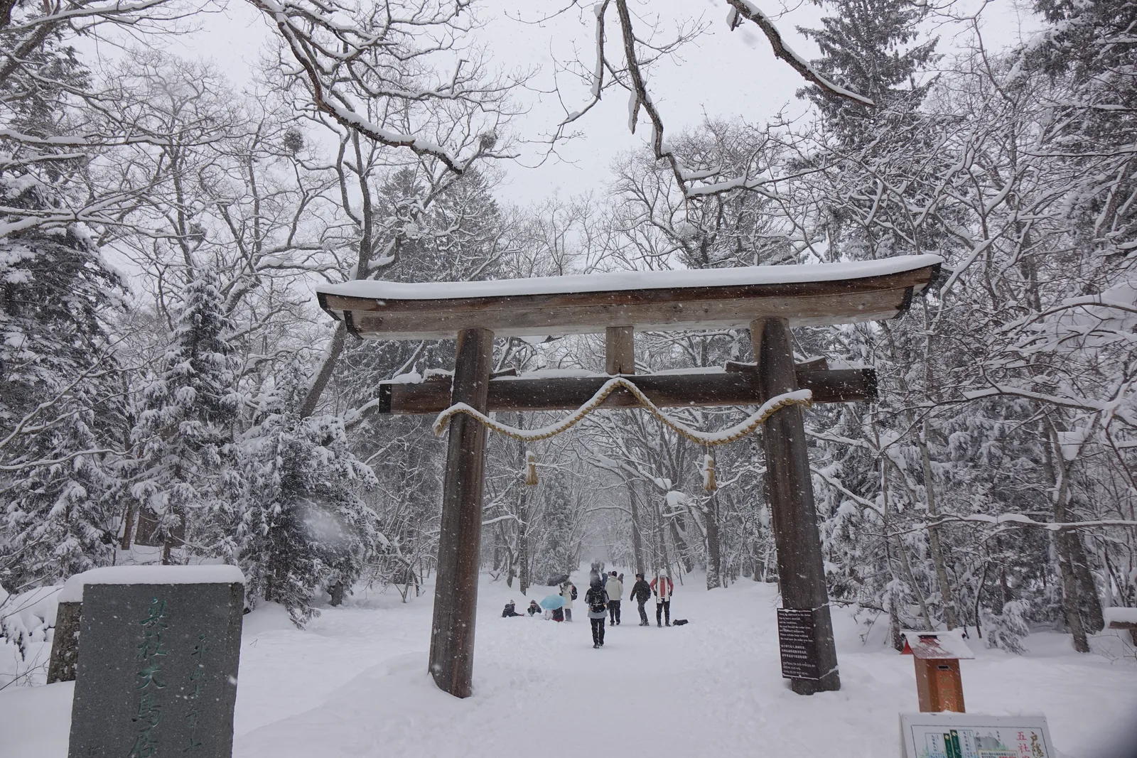 奧社參道入口的大鳥居，雪深及膝
