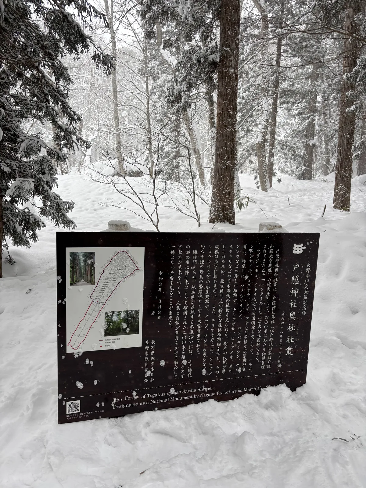 縣指定天然記念物「戸隠神社奥社社叢」的解說板，立在雪地裡