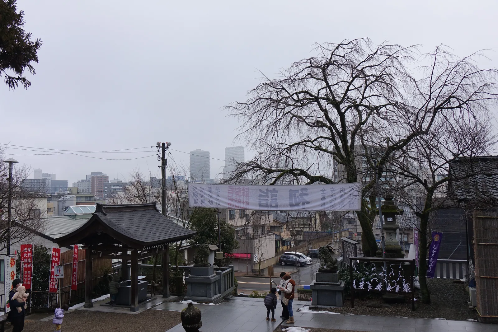 從毛谷黑龍神社境內往東北看出去，前景是冬天的枝垂櫻與石燈籠，遠處是福井市街