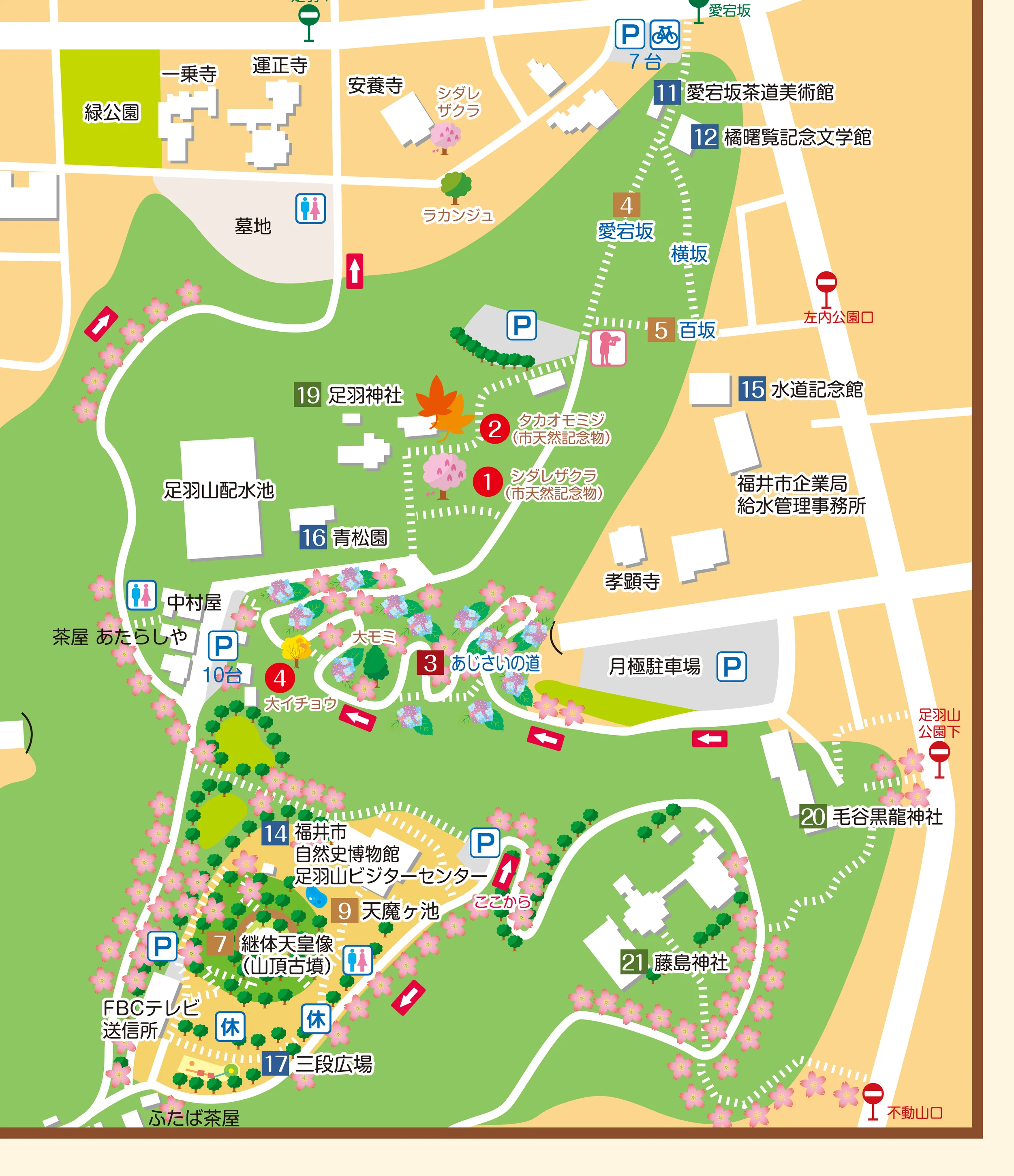 足羽山ガイドマップ：毛谷黑龍神社、藤島神社、足羽神社、愛宕坂、百坂、繼體天皇像、福井市自然史博物館