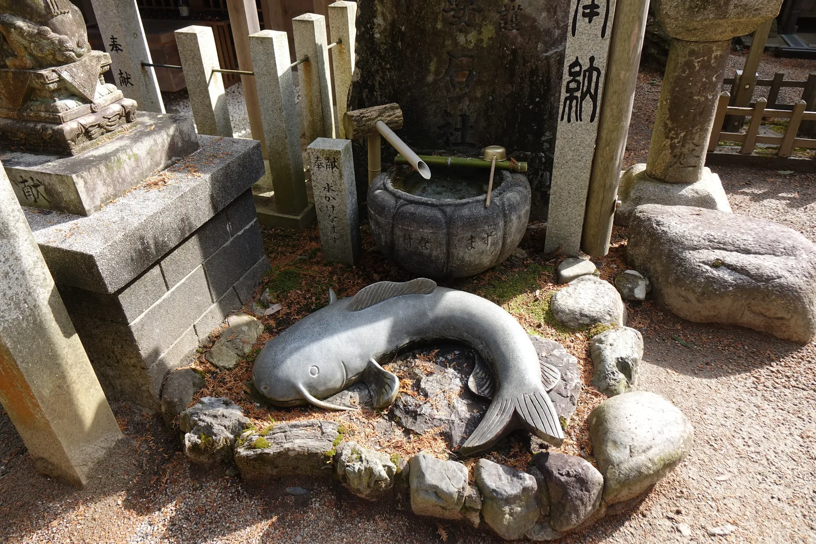 水掛鯰