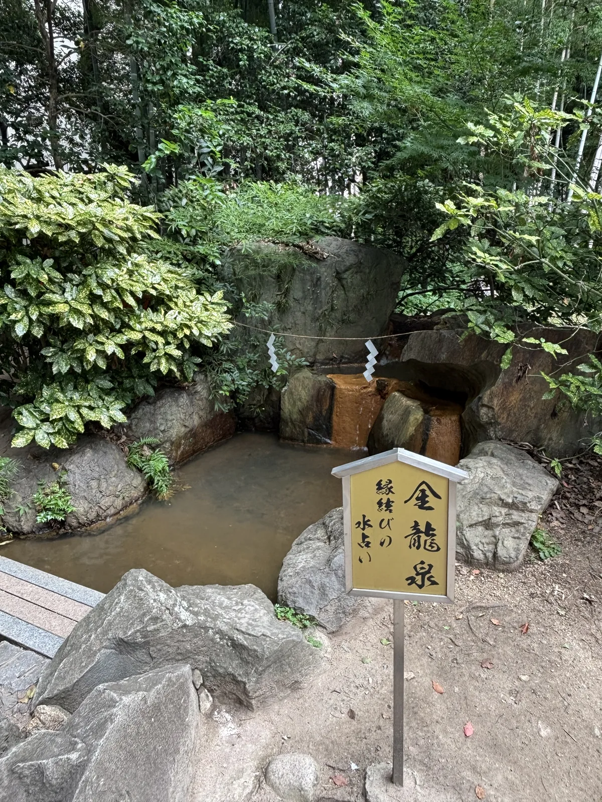 岩組之間的小池，上方有水流下，池畔的繩上垂著紙垂。黃底木牌大書「金龍泉」，右側小字「縁結びの水占い」——把紙浸進水裡顯字的水占。