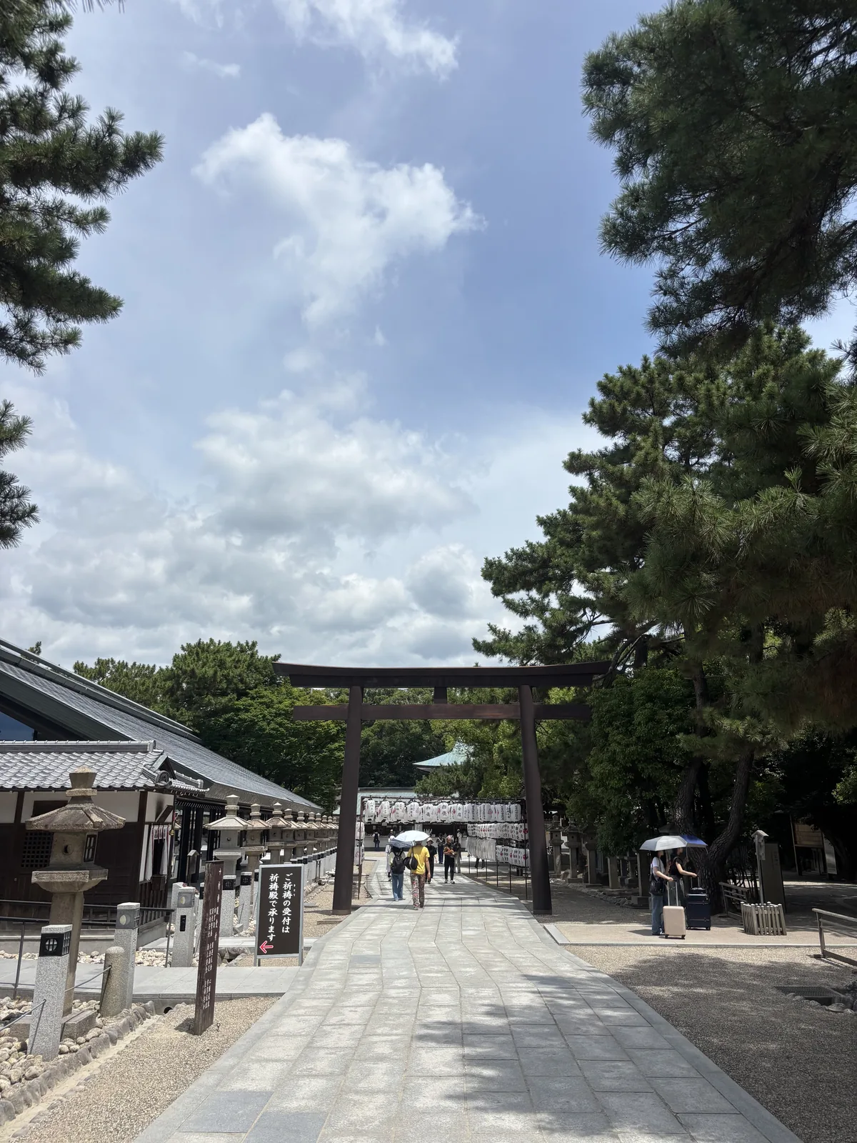 木造大鳥居立在鋪石參道上，左側是社務所群的瓦屋根與一列石燈籠，更前方懸吊成列的白提燈。前景立牌寫「ご祈祷の受付は祈祷殿で承ります →」——祈禱受理在祈禱殿。松樹的枝從兩側壓進畫面。