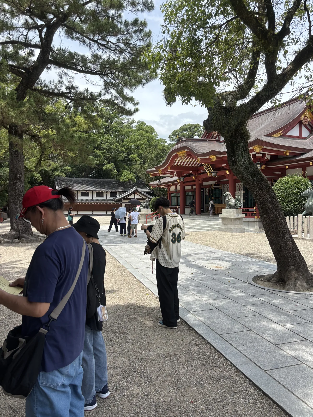 老松的枝橫過畫面上緣，樹下是碎石地與參拜的人。拜殿在枝的間隙後面。境內全體約四萬兩千餘平方公尺，本殿後方那一片是縣指定天然記念物えびすの森。