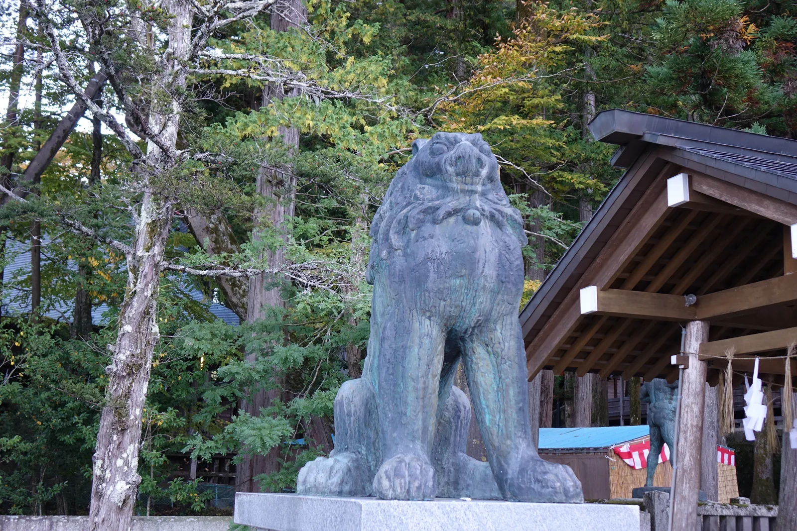 一尊比人還高的青銅狛犬（こまいぬ komainu，鎮守神域的獸形石像），蹲踞在石臺上，銅面已經氧化成灰綠。背後是杉林與授与所的屋頂。