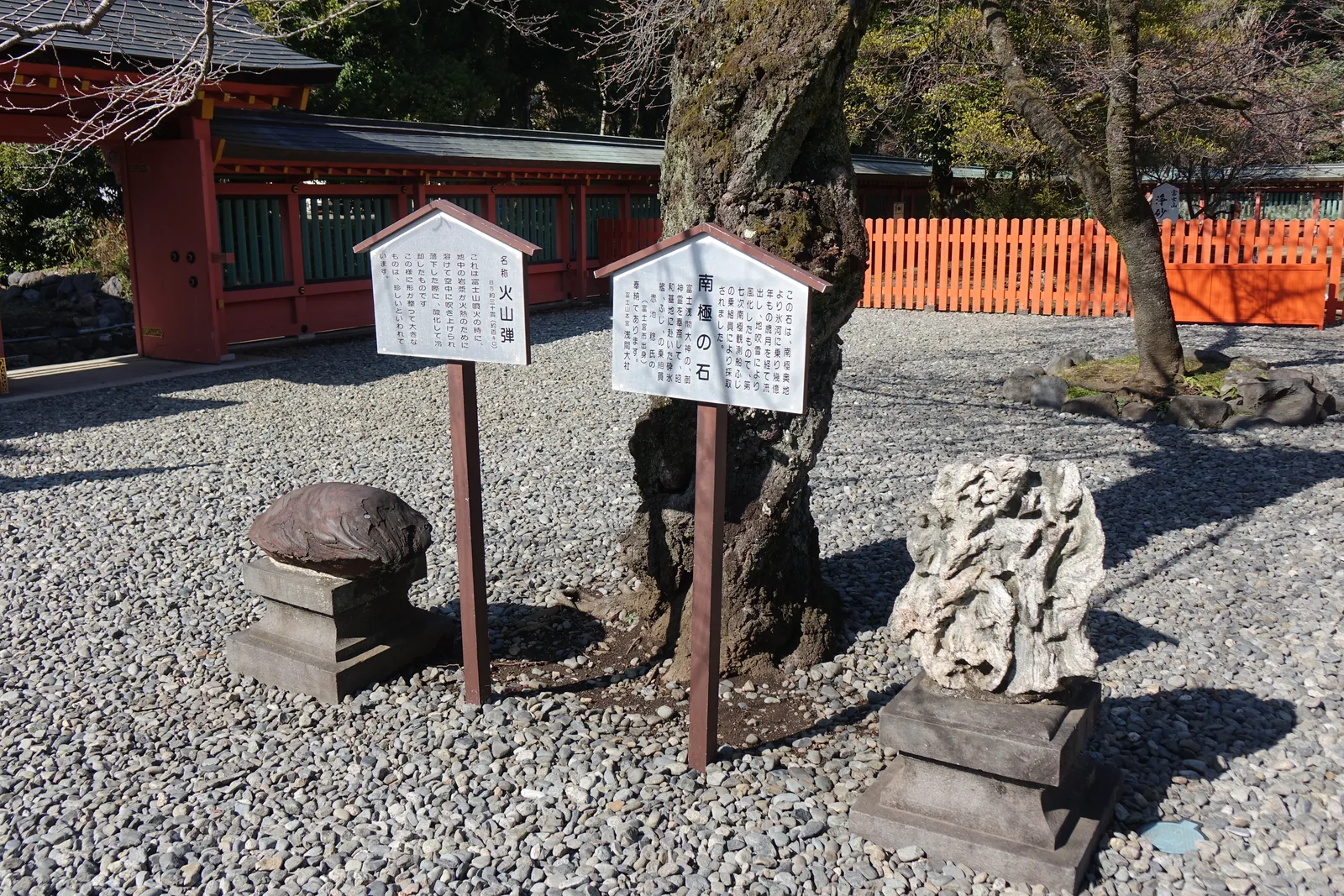 兩塊石頭並排在碎石地上，各自架在石臺上、各自配一面帶小屋頂的立牌。左邊那塊暗紅、表面有流動的紋路，是火山彈；右邊那塊灰白、表面凹凸如被啃過，是南極の石。背景是朱色的透塀與一株老樹的樹幹。