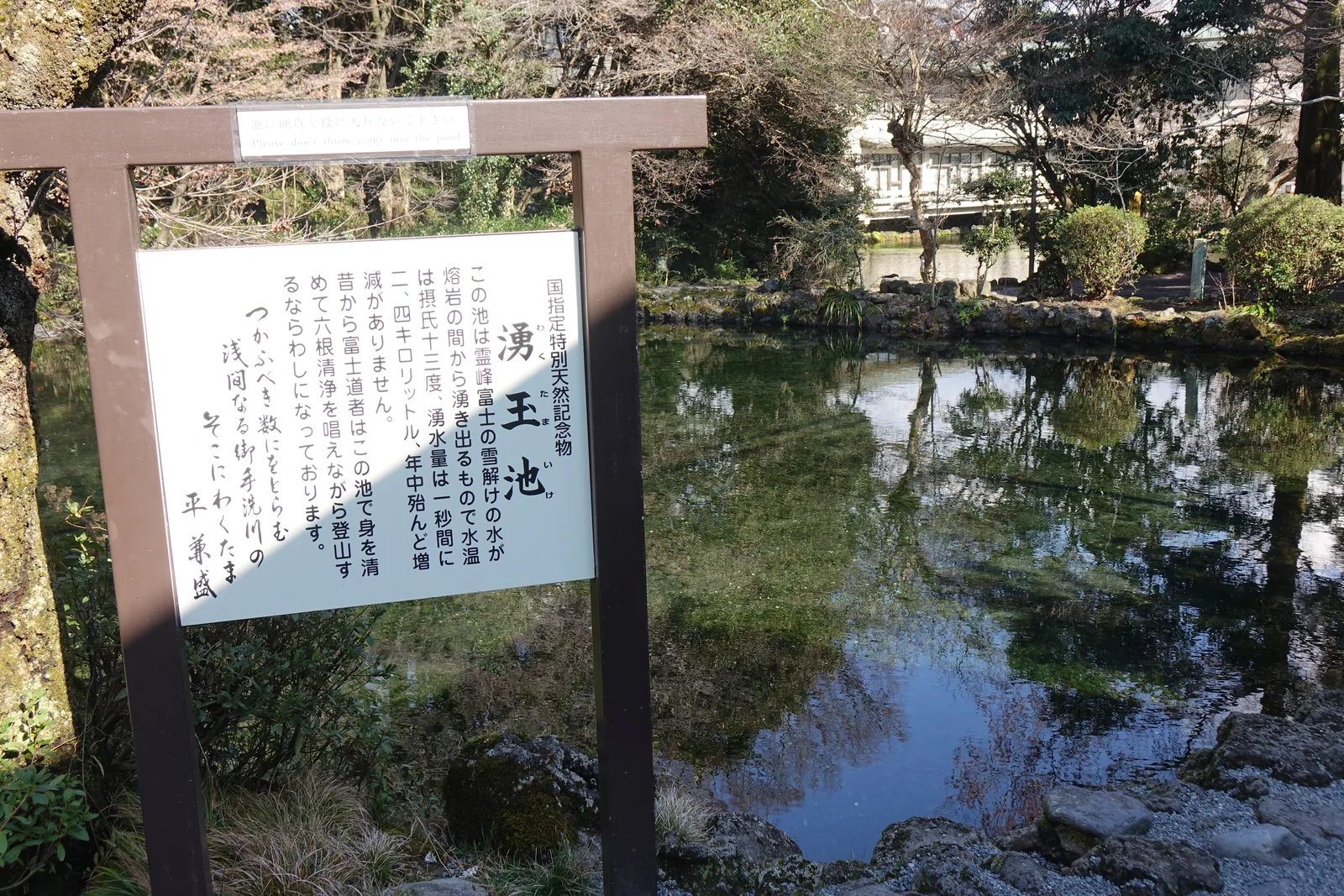 一面白色的說明牌立在池畔，冠著「国指定特別天然記念物」，主標題「湧玉池」。牌後的水面映著對岸的樹與一棟白色的建物，池底的水草順著流向倒伏。牌頂另釘著一塊小字的英日雙語告示，請人不要往池裡丟硬幣。