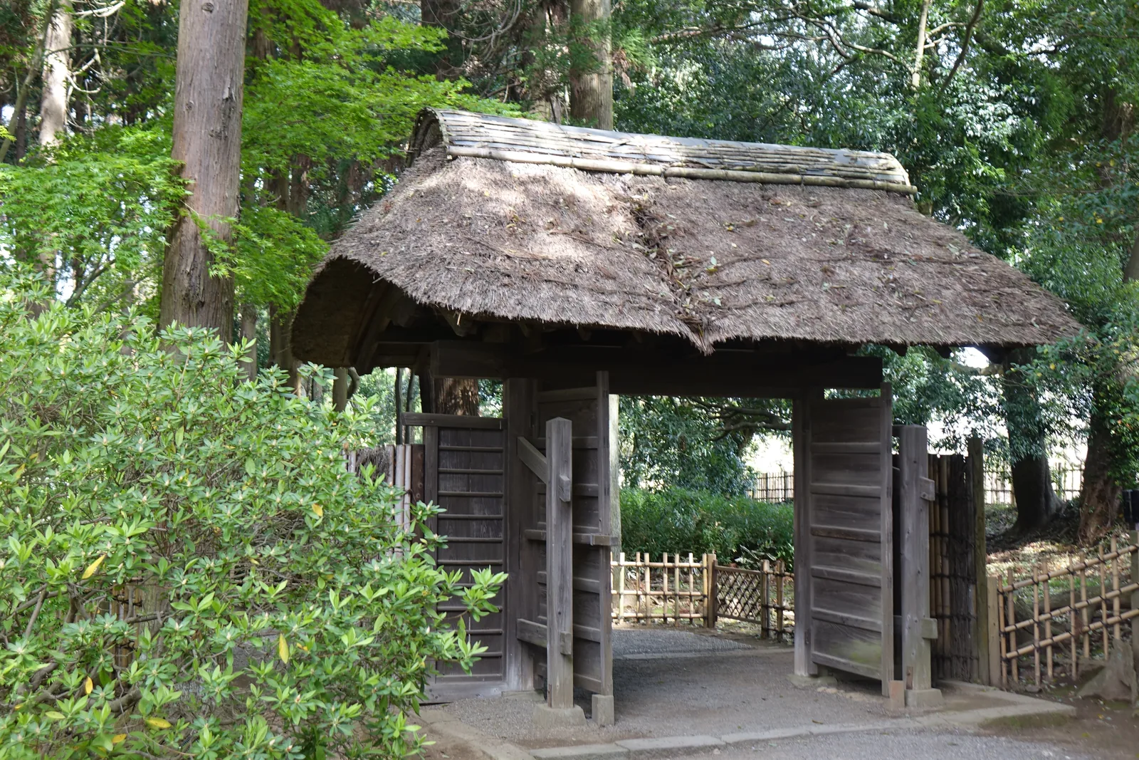 一座茅葺（kayabuki，茅草鋪成的屋頂）的木門，屋脊用竹子壓住，兩扇板門開著，兩側接竹垣與板塀（itabei，木板砌成的圍牆）。木料已經風化成灰褐色。門後是砂礫的小徑與高大的杉。偕樂園裡好幾道門都保留著江戶時代的樣子，這一帶是「陰」的一段。