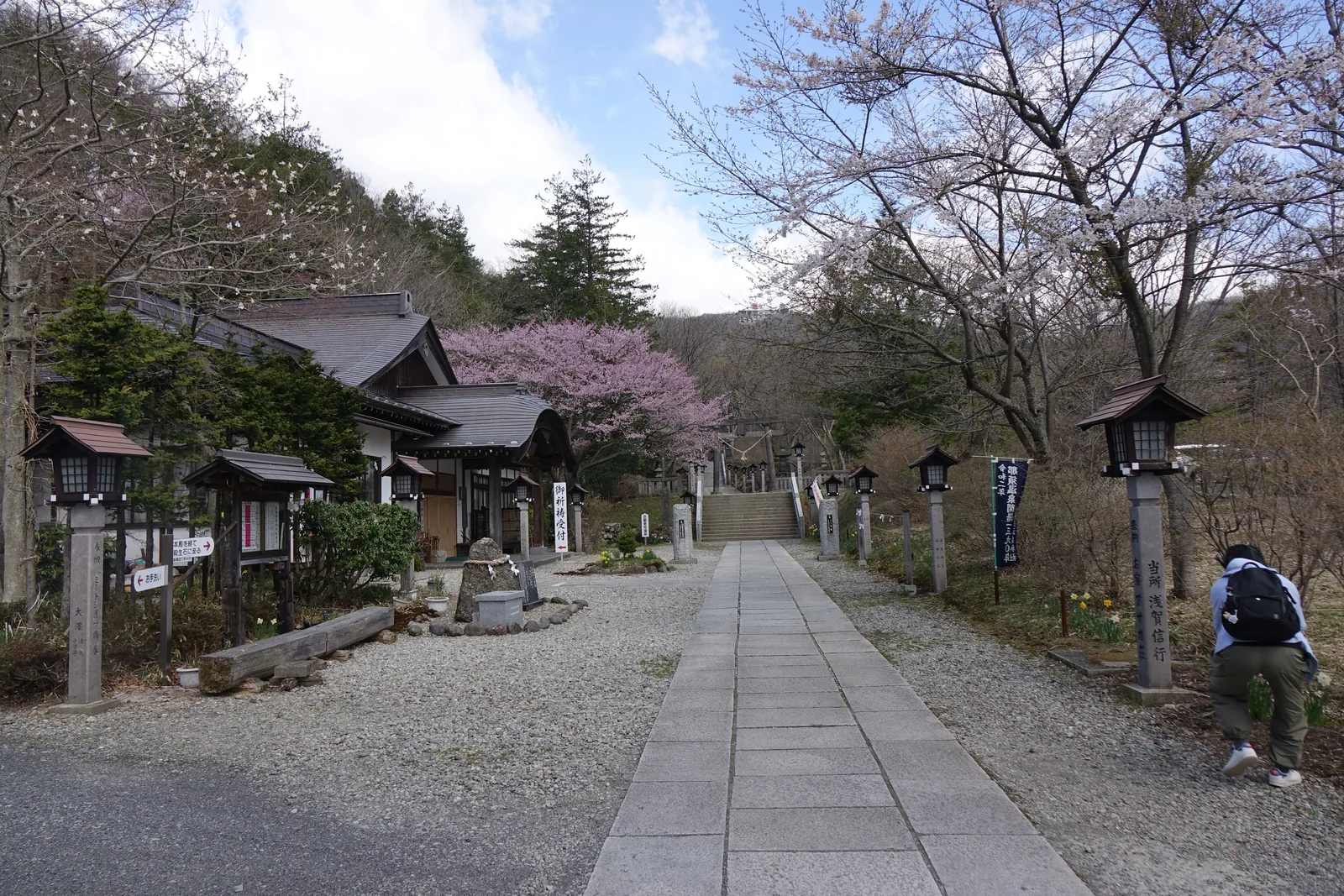 從碎石前庭往參道深處看。一條石板路筆直伸向遠處的石段，兩側是帶木屋頂的石燈籠，一基接一基向內排開。左邊是社務所與御祈禱受付，入母屋屋頂加了弓形的唐破風門廊；右邊立著奉納者名字的石柱與藍色的幟。一株淡紅色的櫻開在路的盡頭。