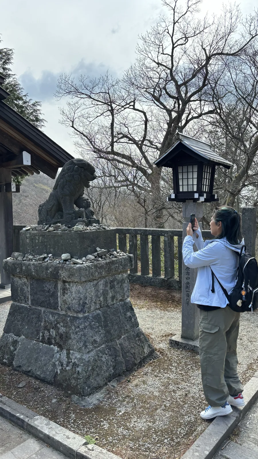 石板參道的盡頭是拜殿，兩側立著石燈籠與石柱。一株松從右側伸進畫面上方。畫面中央一個背著黑色背包的人正往社殿走去，前方還有幾位參拜者。