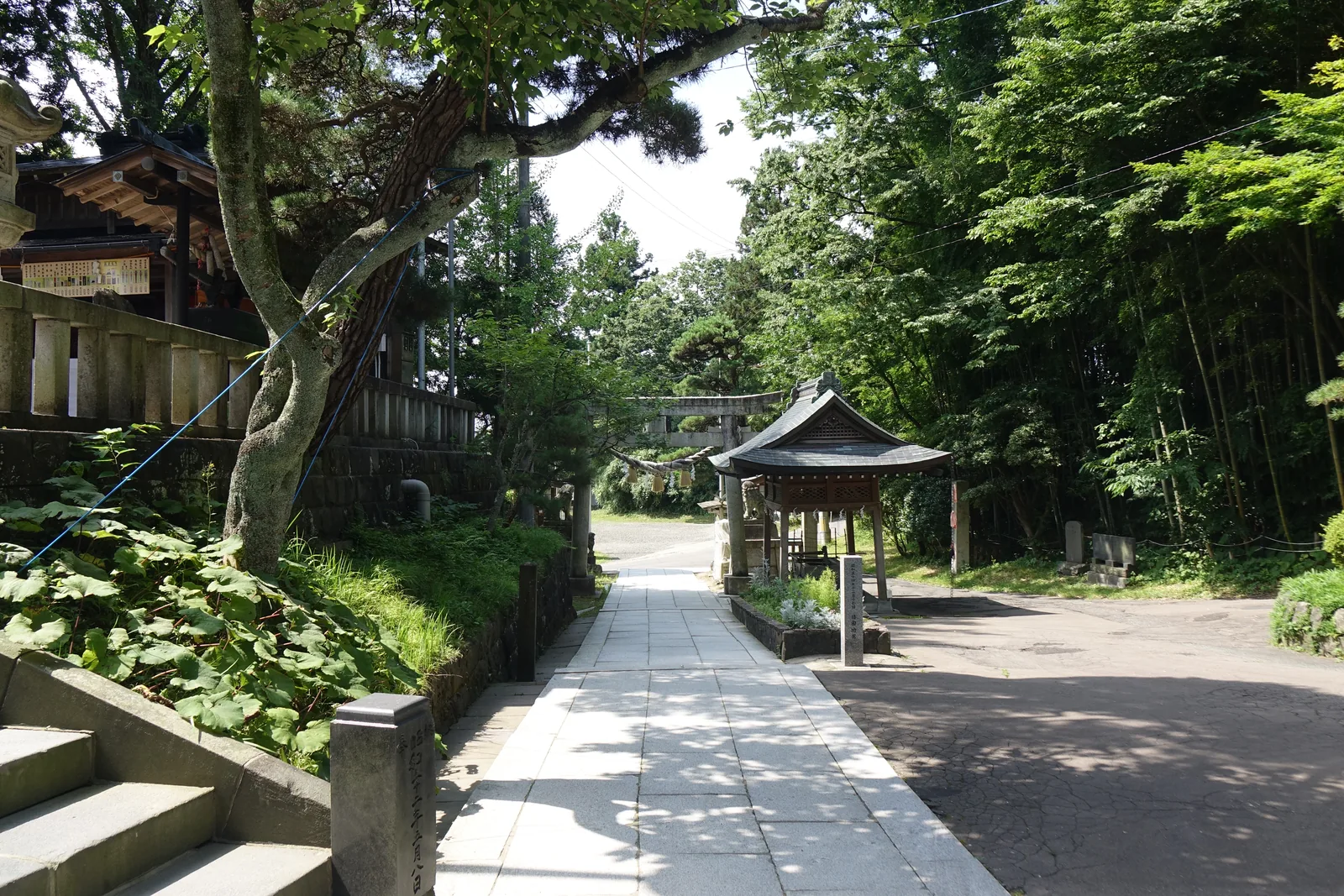石板路橫穿境內。兩側是修剪過的松與灌木，路邊立著石燈籠，遠處是一座帶屋頂的小社與一座鳥居。地勢是平的，不像山社那樣層層抬高。