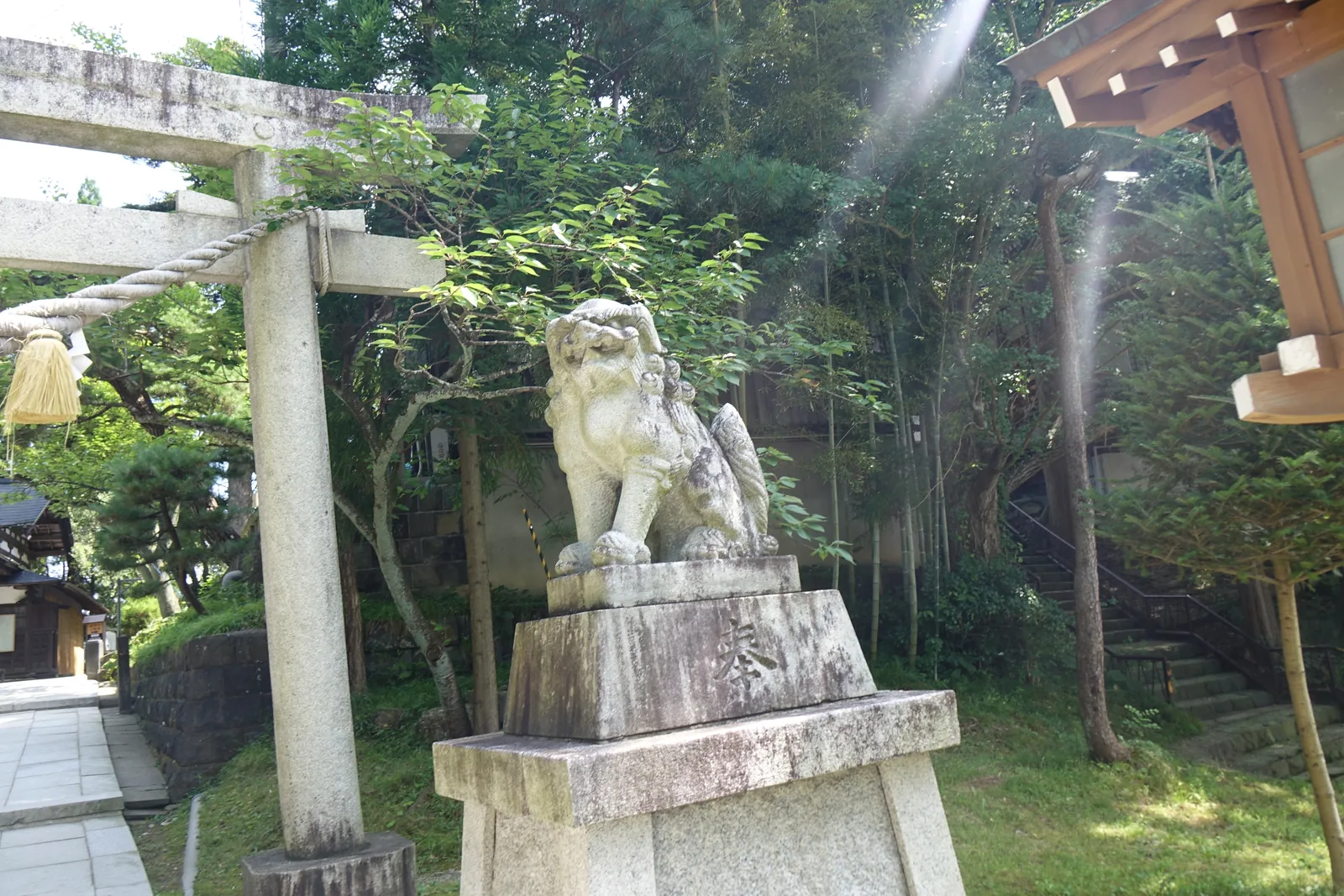 石造的狛犬（komainu，成對守在社前的獅形石像）立在高高的方形台座上，不施彩。背後是石鳥居的柱與朱色的建物，晨光斜切過樹葉。