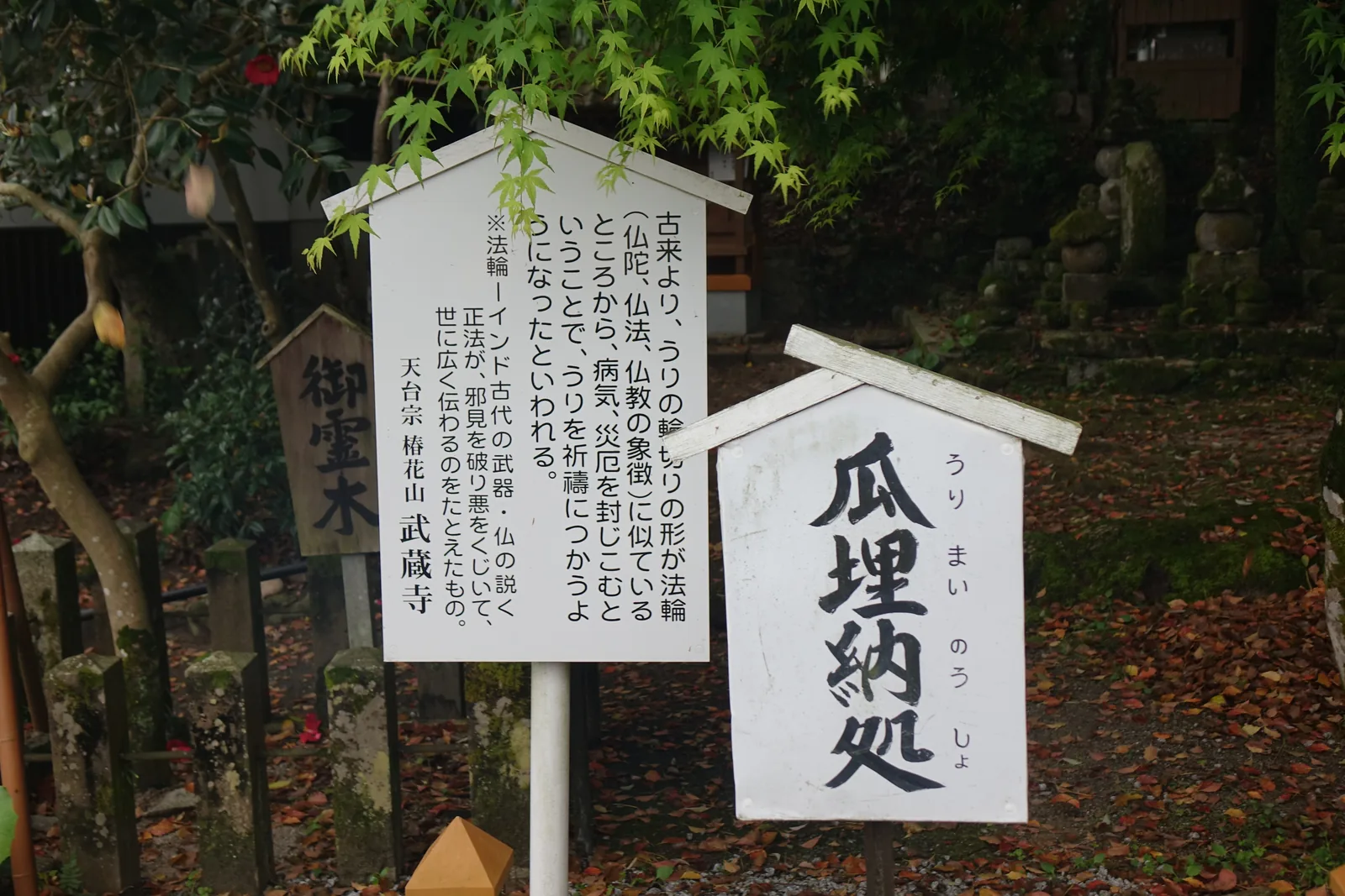 斜面前的三塊立牌與其後的石佛群