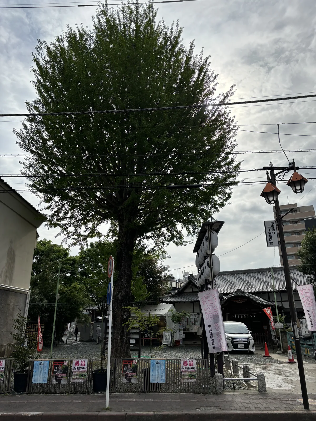 中央通り二丁目的街角，一株大銀杏佔滿畫面上半。樹後是熊野神社的境內，白色的社殿屋頂與一排白提燈，左右立著「春詣」的幟。前方柵欄上貼滿海報，右側電線桿掛著「中央通り二丁目商店会」的牌子，也就是中央通二丁目商店會。