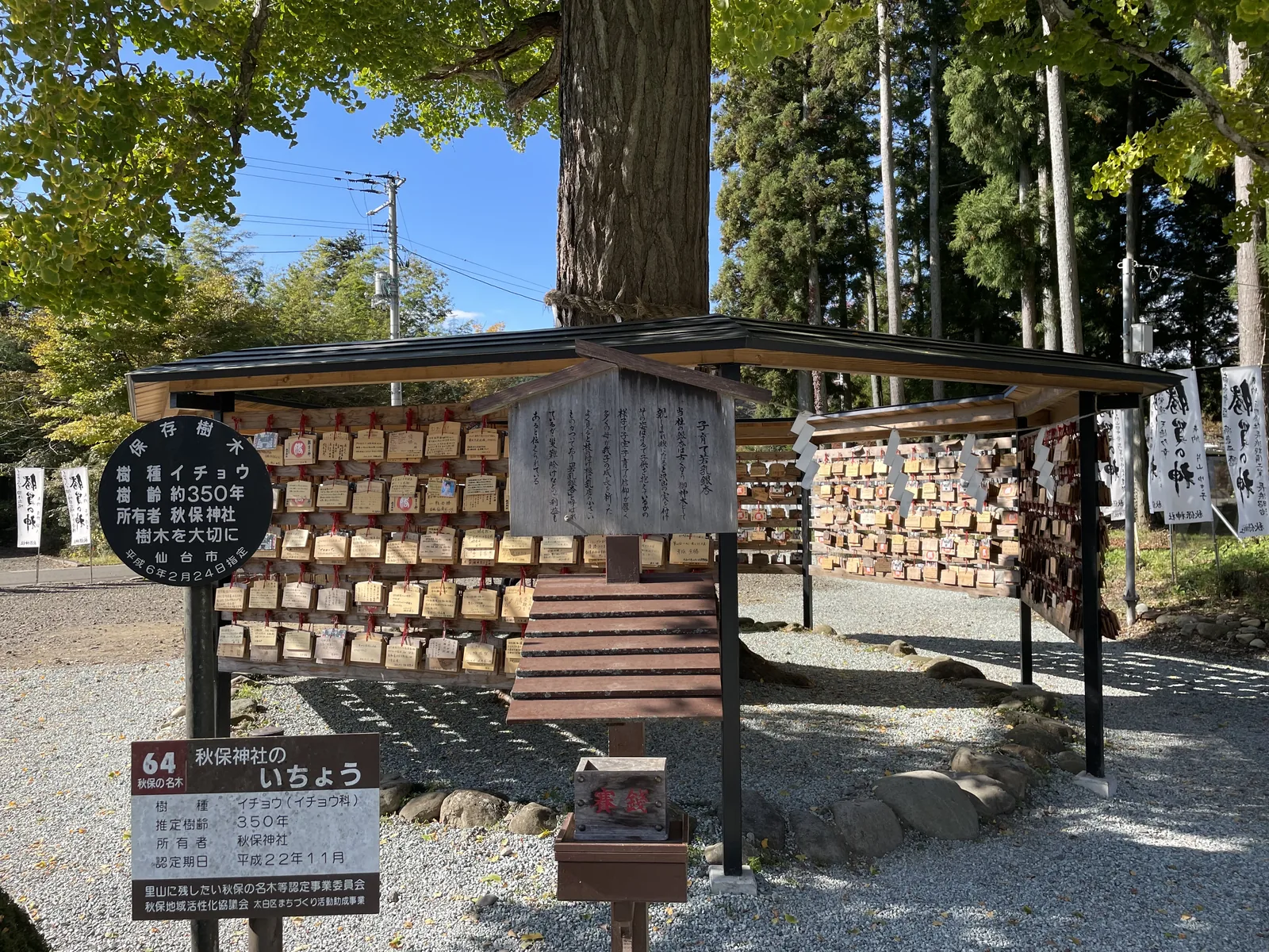 「秋保の名木　六十四號／秋保神社のいちょう」——秋保名木第六十四號，秋保神社的銀杏。欄位依序是樹種イチョウ（銀杏）、推定樹齡三百五十年、所有者秋保神社、認定期日平成二十二年。底下兩行寫「里山に残したい秋保の名木等認定」（想留在里山裡的秋保名木認定），認定者是秋保地域活性化協議會。後方是繪馬掛。