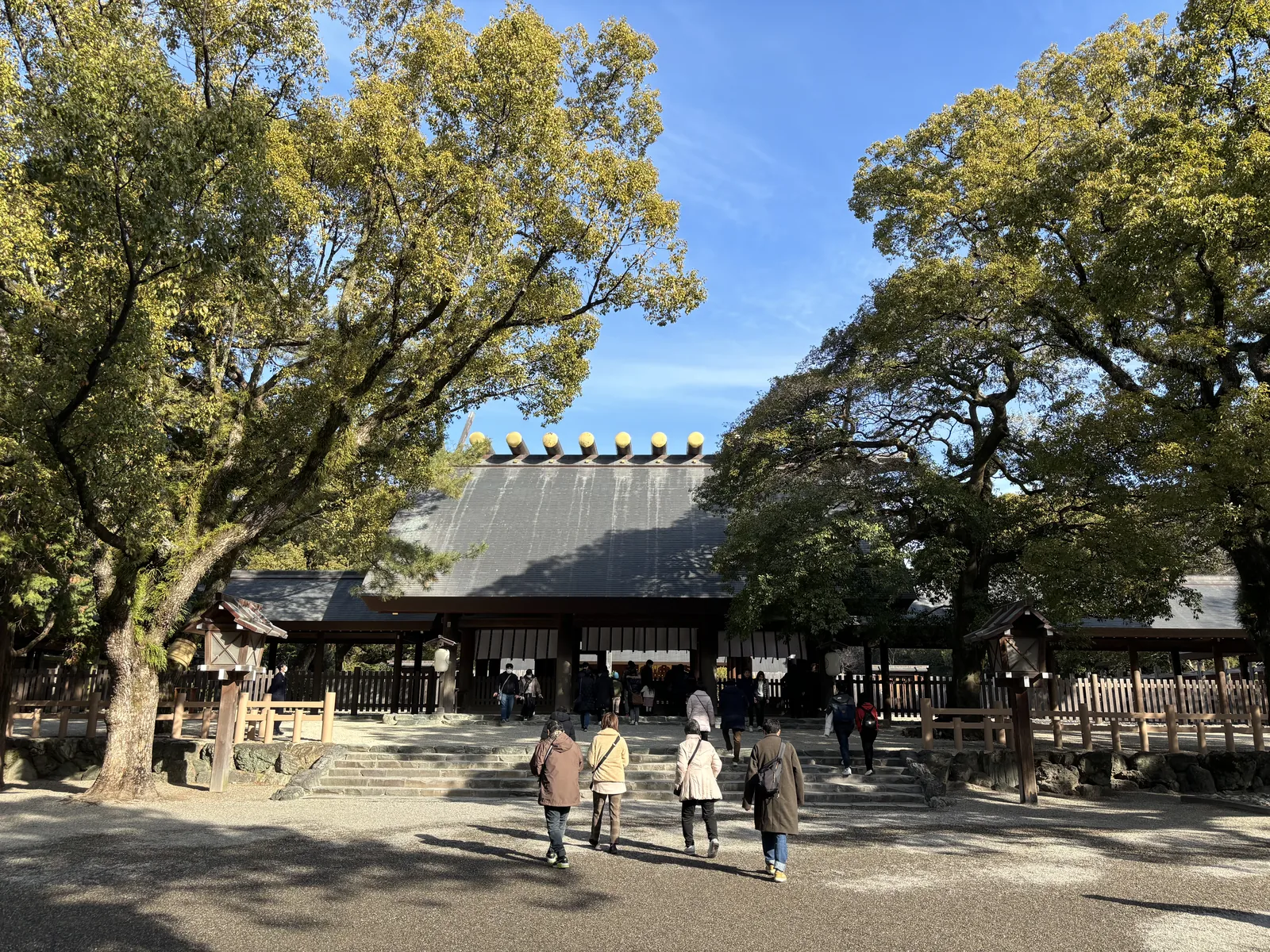 從東參道的盡頭往北看本宮。兩株巨大的楠從左右伸進畫面，中間露出深灰色的大屋頂，屋脊上一排木口包金的鰹木（かつおぎ katsuogi，橫架在屋脊上的圓木）。屋頂下方是白布幕與一圈木造的瑞垣（みずがき mizugaki，圍在社殿最內側的木柵），階前四個人正往上走。