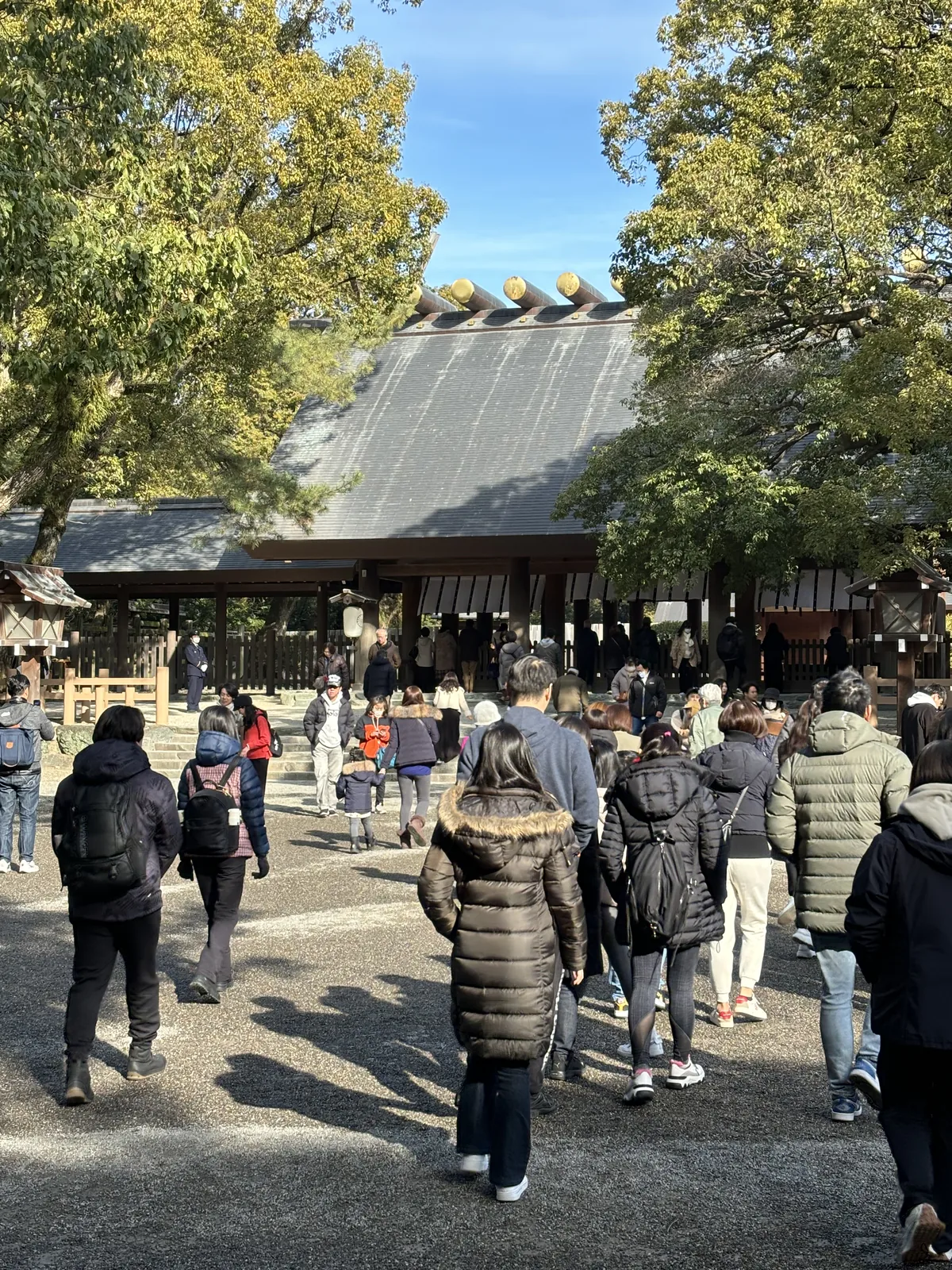 從參道上往前看。三、四十個穿冬衣的人正朝著石段上的社殿移動。社殿的深灰色屋頂與金色鰹木在樹縫之間橫過畫面上方，兩側是低矮的木欄與石燈籠。