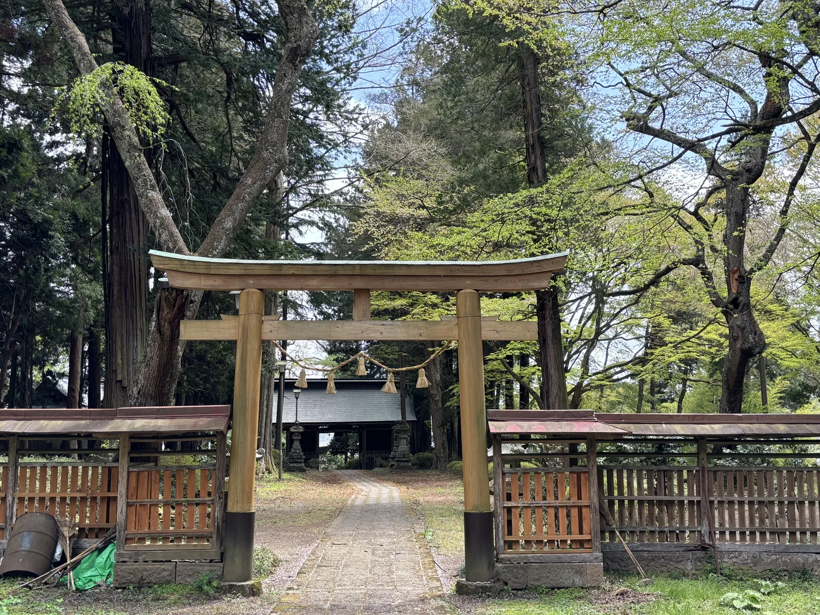 從鳥居下回望隨身門