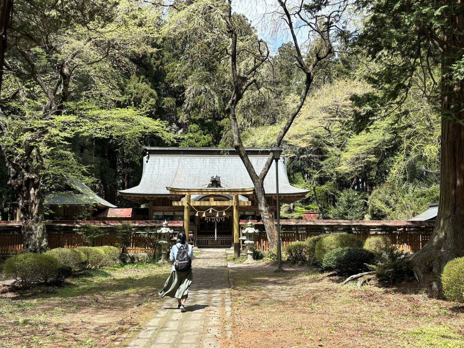 拜殿正面與素木的明神鳥居