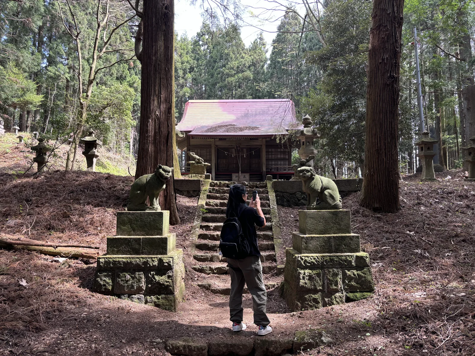 杉林裡的全景。正面是一道粗石砌的石段，兩側各立一座三層的切石台座，上面各坐一頭狛犬。石段上方是社殿，屋面漆成朱色，覆著落下的針葉。兩側林中成列的石燈籠往深處退去，地面鋪滿褐色的杉葉。一名背著背包的人站在石段下舉著手機。上午九點五十七分。