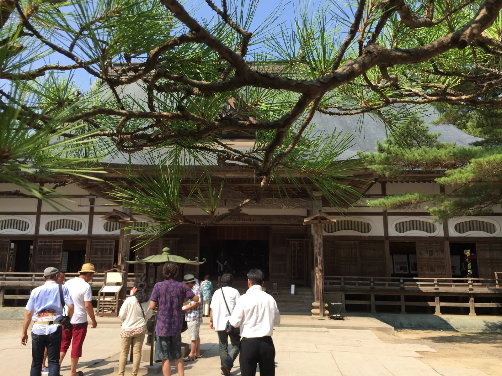 中尊寺本堂前庭：修剪得低而橫展的松枝橫過畫面，松後是本堂的木造正面與大屋頂，庭裡有參拜者走動