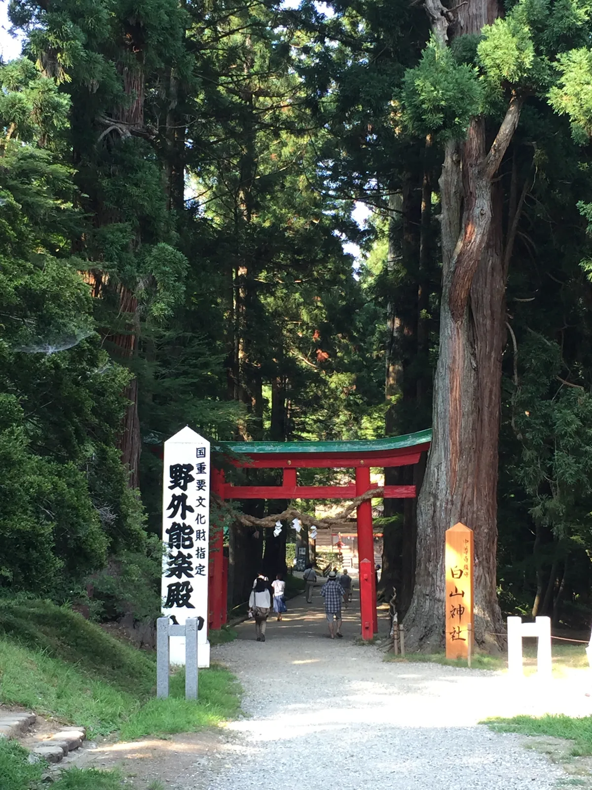 中尊寺參道盡頭的白山神社：朱色鳥居立在兩棵大杉之間，鳥居前左右各一根標柱，左邊那根寫「國重要文化財　野外能樂殿」，右邊那根寫「白山神社」