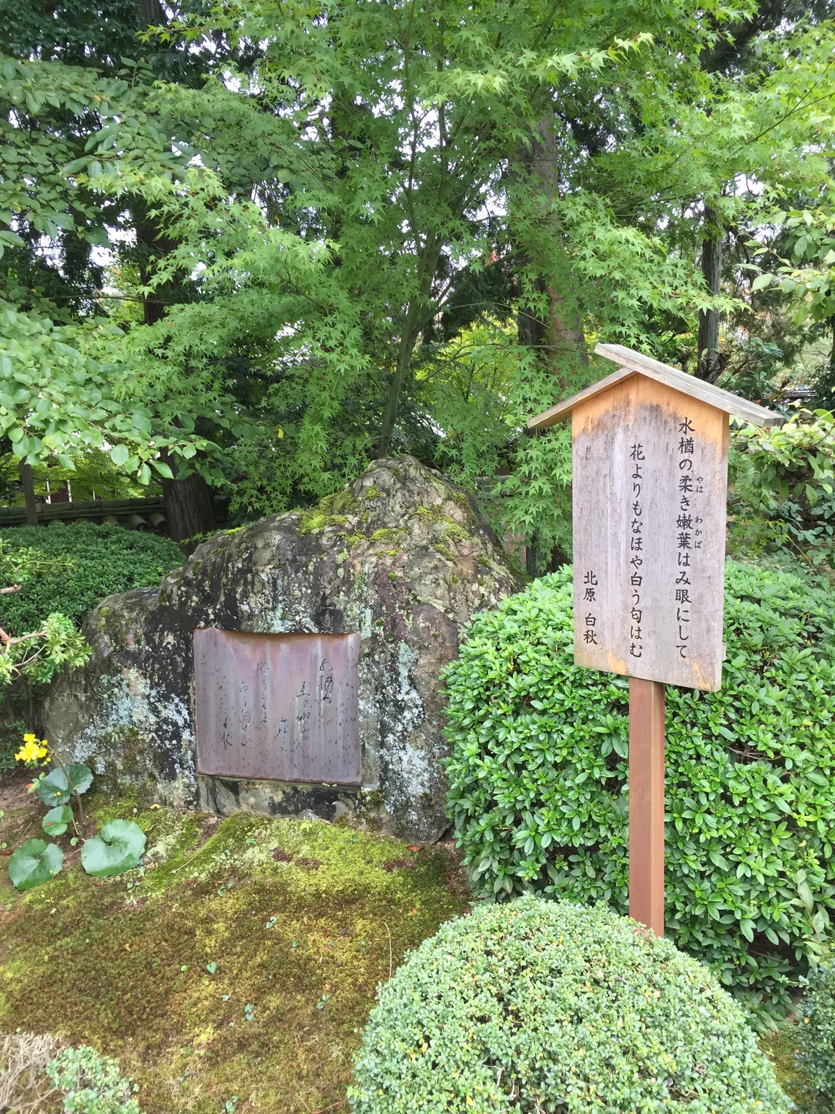 唐招提寺開山堂後方的北原白秋歌碑：一塊苔生的自然石嵌著銅板，旁邊立著帶小屋頂的木製立札，上面抄著那首和歌與署名，四周是楓與常綠灌木