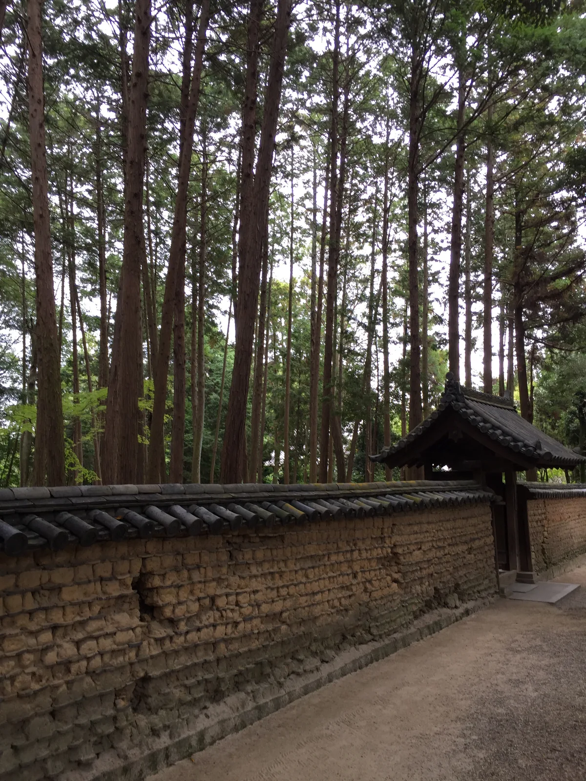 通往唐招提寺開山御廟的小路：一側是夯土為芯、頂上覆瓦的圍牆，土層一道一道露在表面，牆外是高大的杉與松，路面是土與細砂，遠處有一座小門