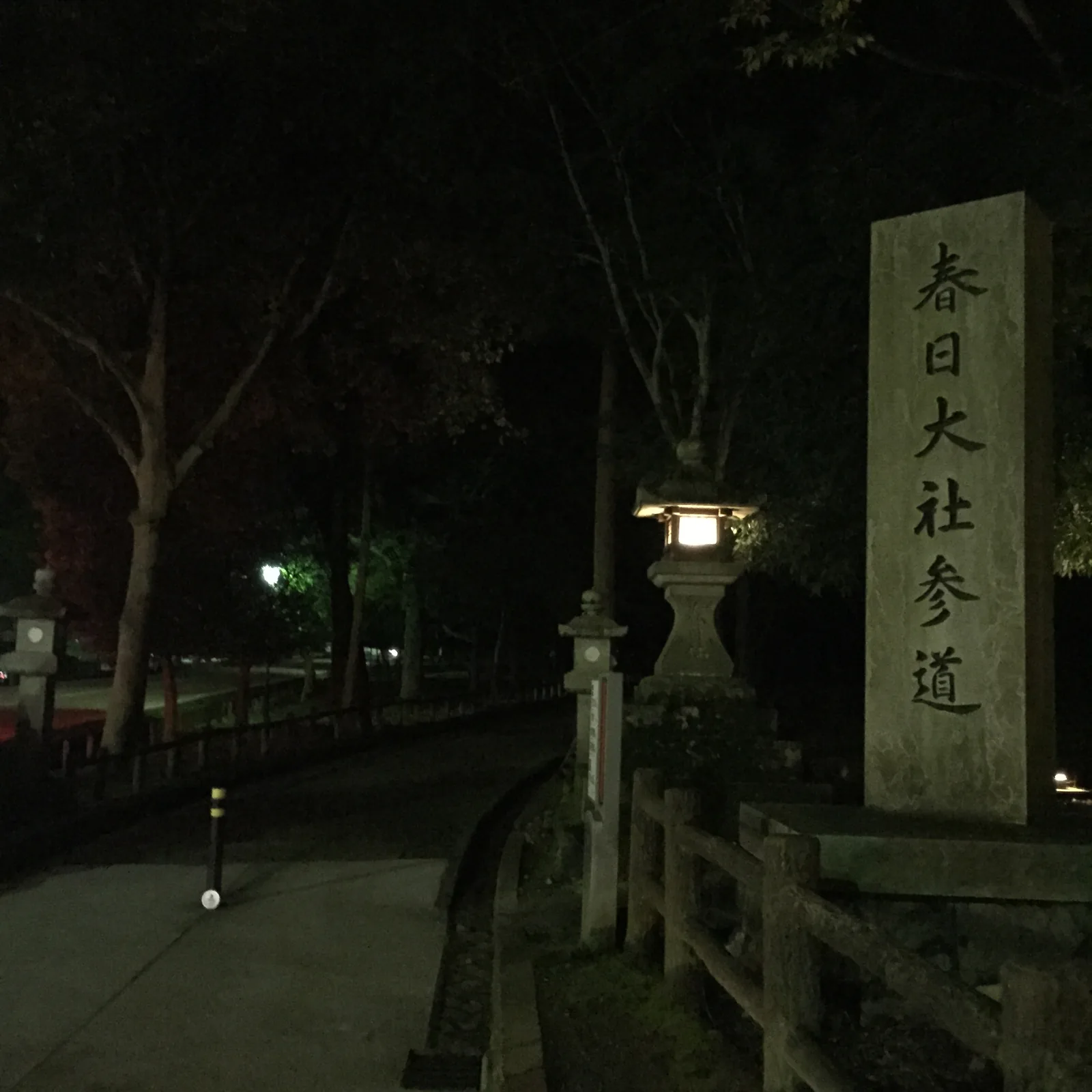 一塊刻著「春日大社参道」的石標立在路邊，旁邊一盞點亮的石燈籠；左側是往下坡去的柏油路與木柵欄，四周是夜裡的樹