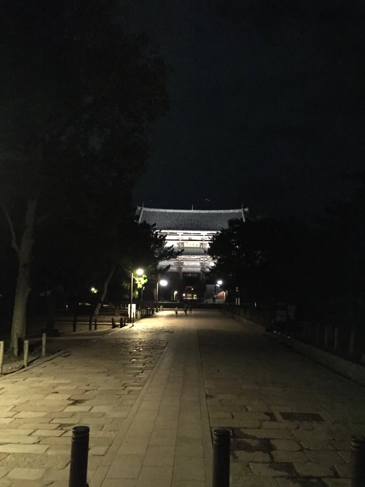 夜裡的參道往北望：路面被路燈打得發亮，兩側是黑的樹，路的盡頭浮著一團橙色的光，那是被打亮的南大門