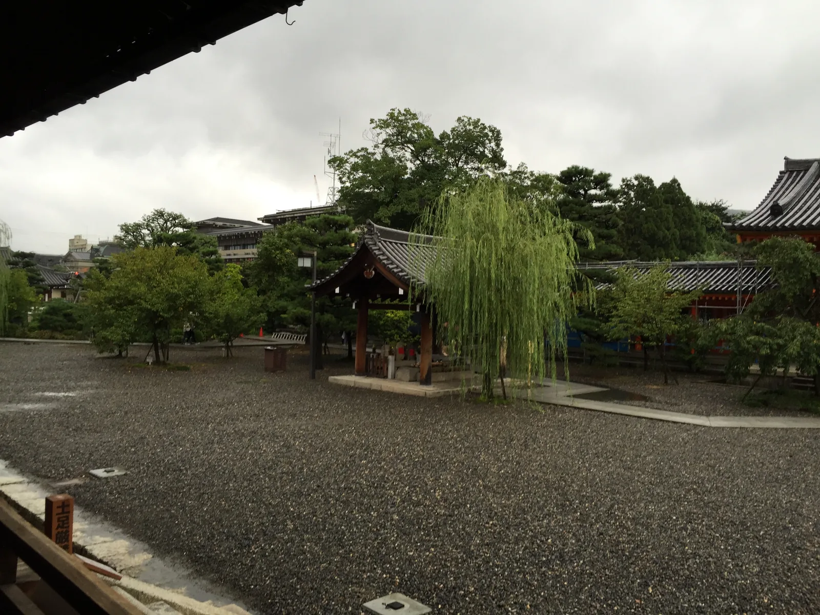 自本堂東側的簷下往外看：一片濕的碎石地，中央有一座小屋頂蓋著的湧泉，旁邊一株垂柳；右後方是朱漆大門的屋脊，更遠是東山的樹線與陰天。畫面左下角立著一根刻字的木標柱