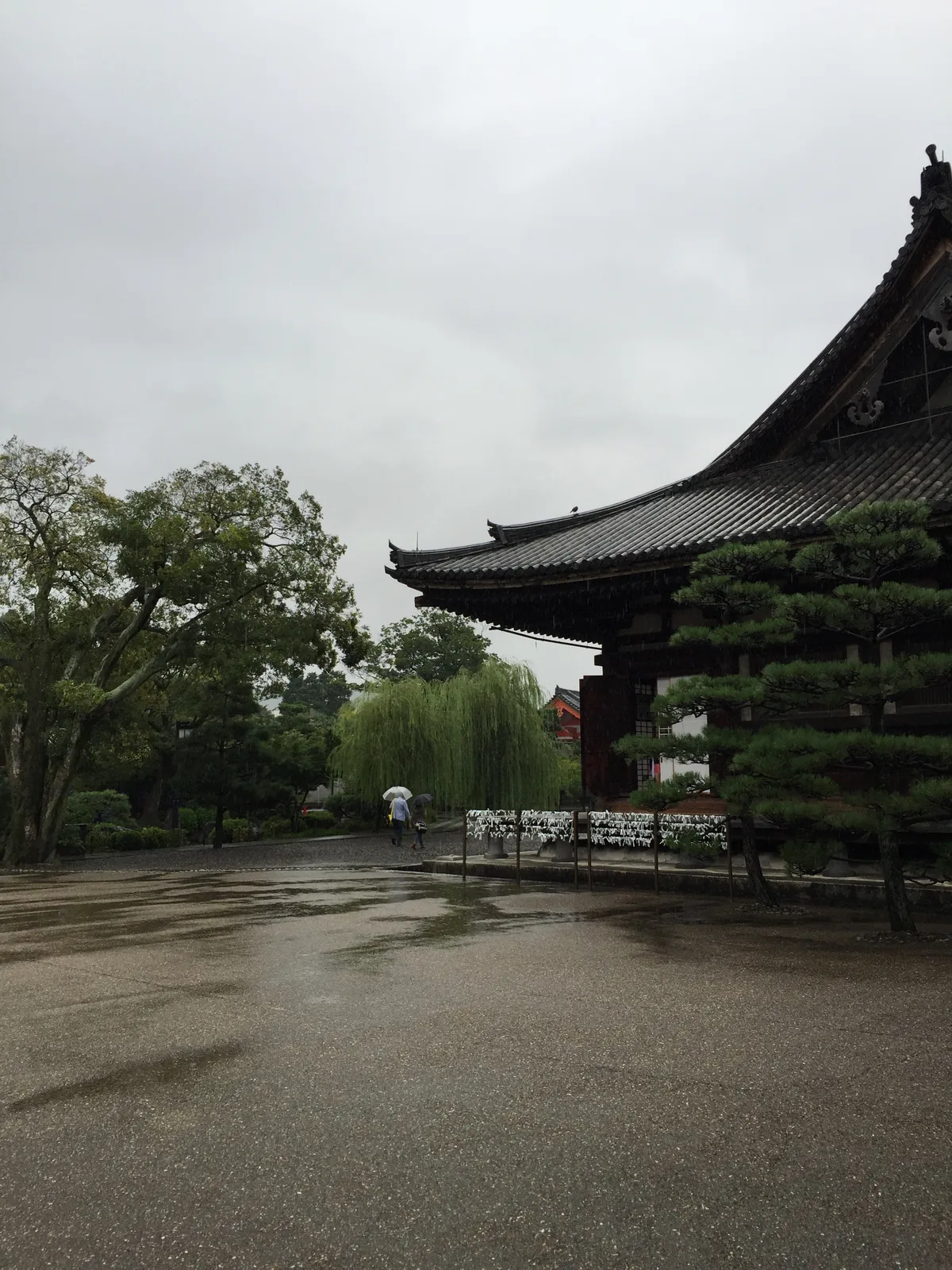 雨中的三十三間堂北端：右邊是本堂的屋簷與簷下綁成排的白紙籤，左邊是垂柳與樹叢，遠處有一點朱紅；前景是整片濕透、反著光的碎石地，兩個撐傘的人往畫面深處走