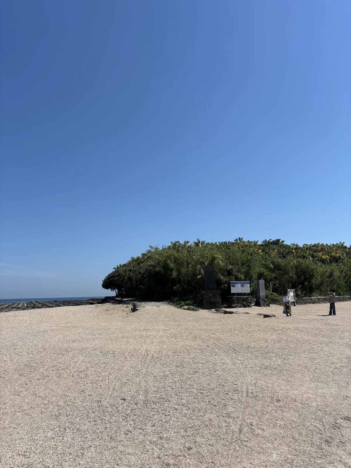 從沙灘上看整座青島，蒲葵覆滿低矮的島身