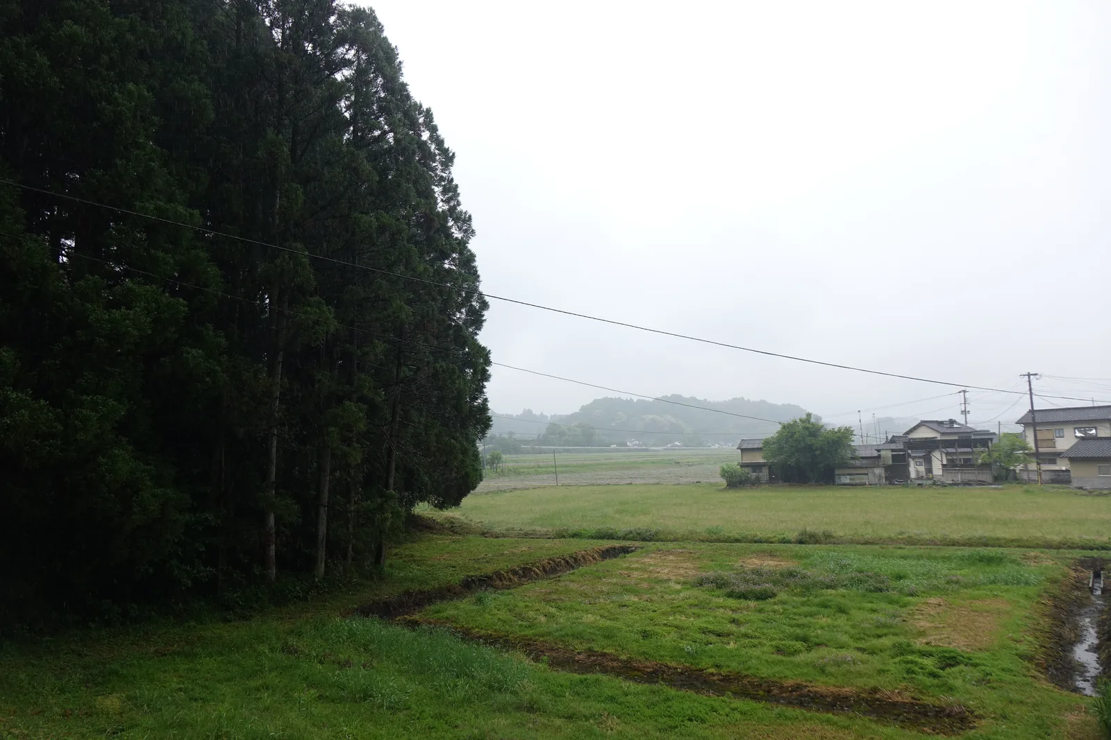 雨中的由留木聚落，前景是水田與水路，遠處民家與杉林隱在霧裡