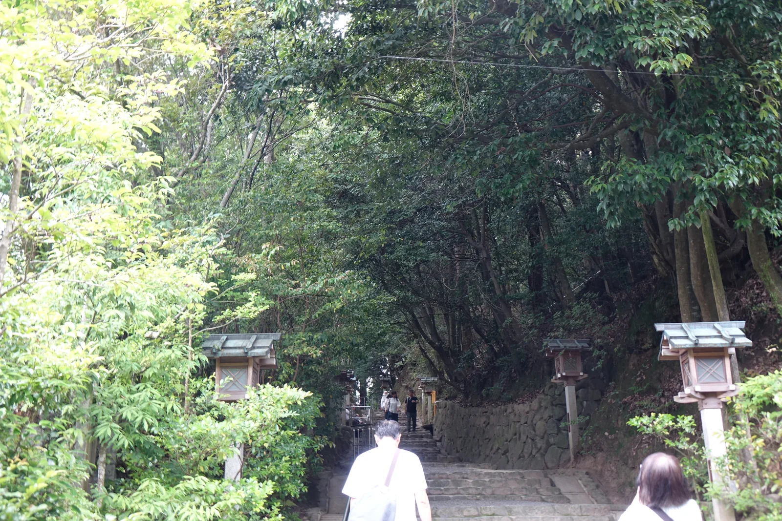 大神神社拜殿以北的石段參道，兩側立著石燈籠，路往上進入林中，有參拜者正在上行