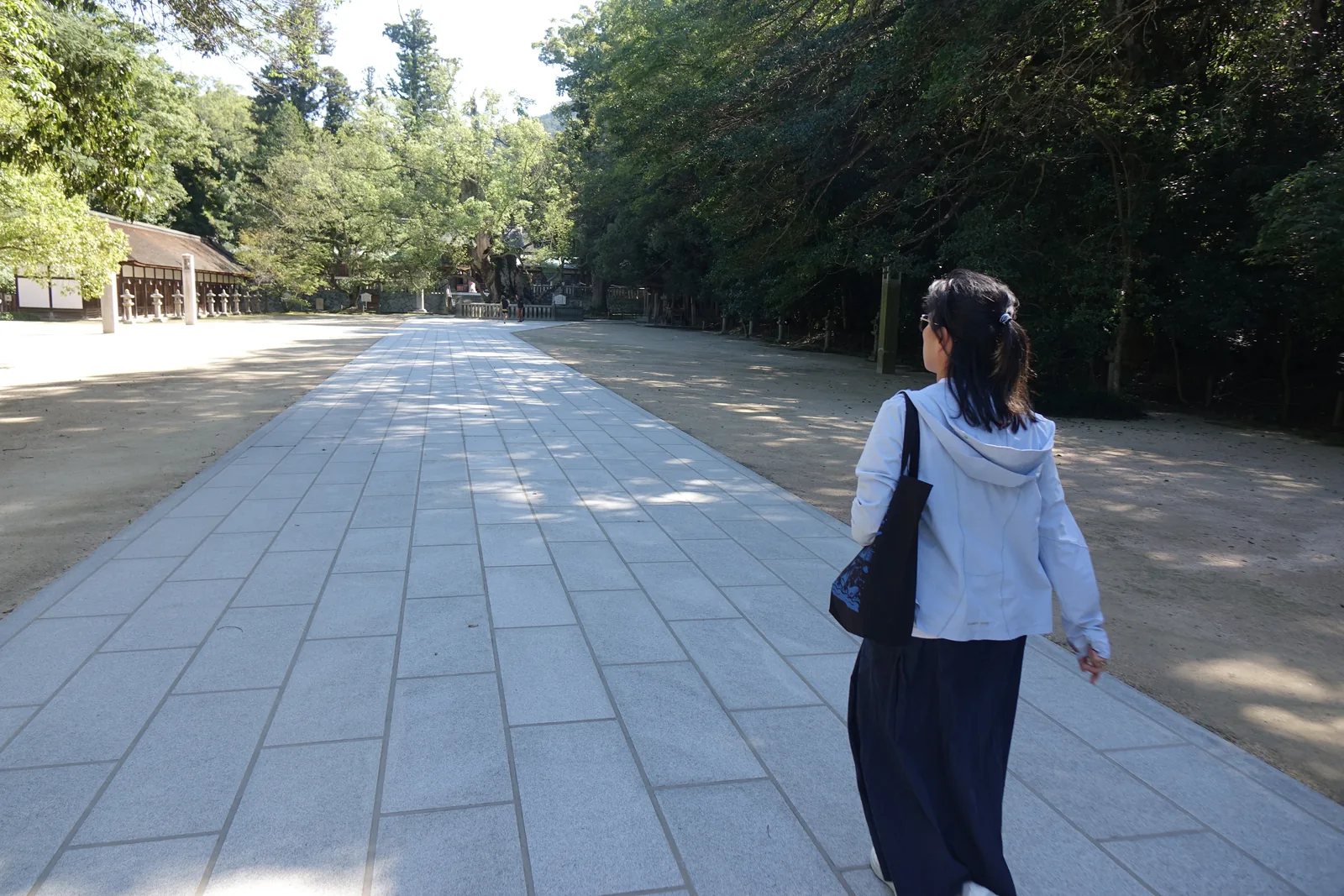 大山祇神社總門之後的參道，鋪石路面中間再嵌一道石板帶，寬到不像通道像廣場，兩側是修剪過的土面與高大的樹