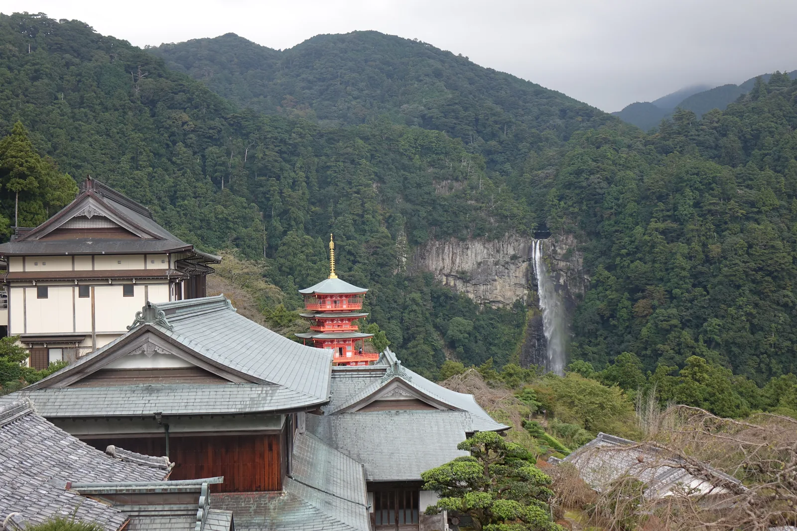 從熊野那智大社境內往南俯瞰，前景是青岸渡寺的瓦葺屋頂群，中景朱漆的三重塔浮在樹頂上，遠處一條白線從灰色岩壁落下，那是那智御瀧