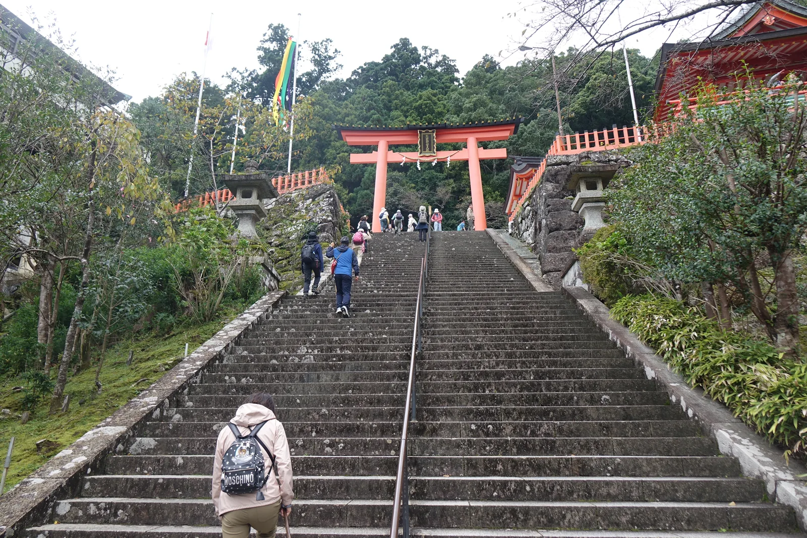 那智山表參道的水泥石段，寬到接近廣場，兩側立石燈籠，正中央嵌著一條運貨用的金屬軌道，盡頭是一座朱漆的鳥居