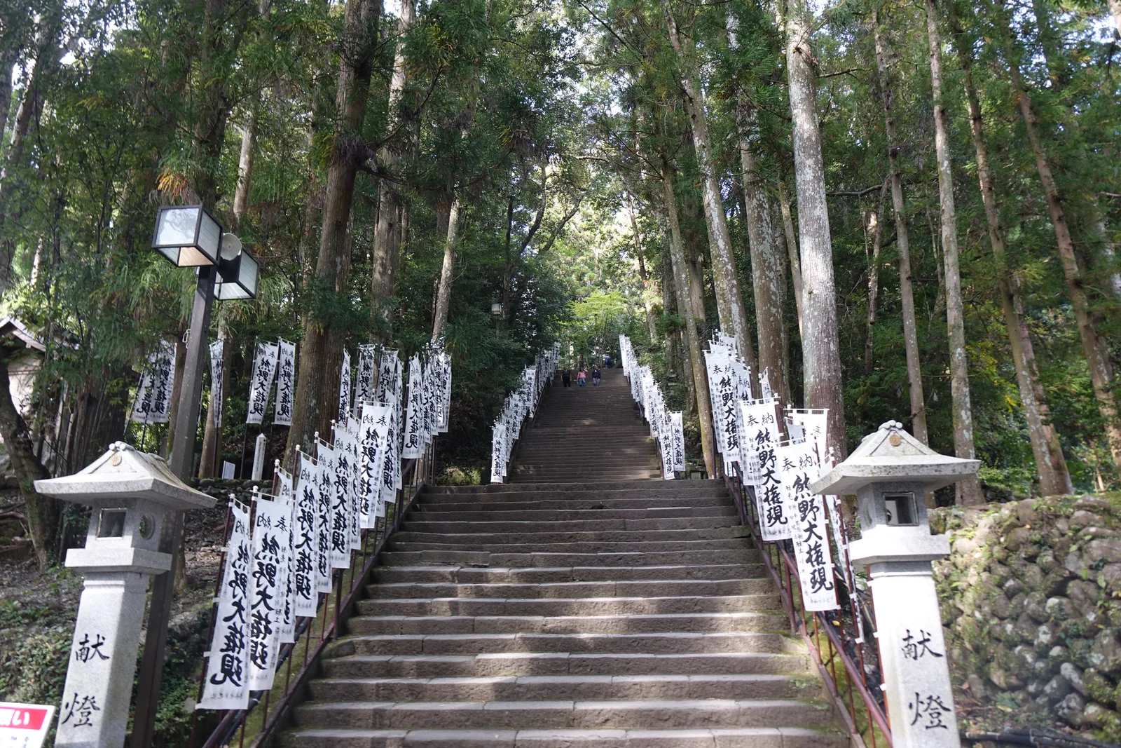 熊野本宮大社的一百五十八階參道，兩側是幾乎不透光的杉林，每一階都插著寫有「熊野大権現」與「献燈」的白幟