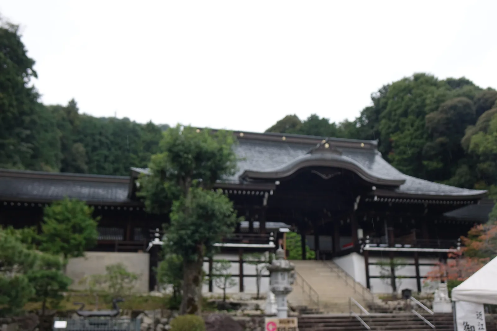 從外院往上看近江神宮的整組社殿，順著比叡山東麓的斜面層層退後配置