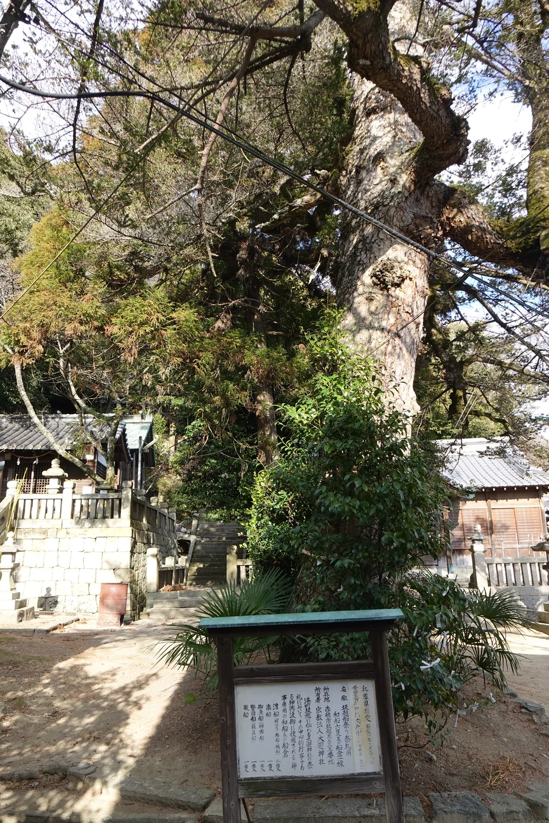 大避神社境內的兵庫縣指定說明牌，直書「重要有形民俗文化財　坂越船祭り祭礼用和船六隻及び船倉一棟」，下面逐艘列出漕船、御座船、樂船、警固船、歌船