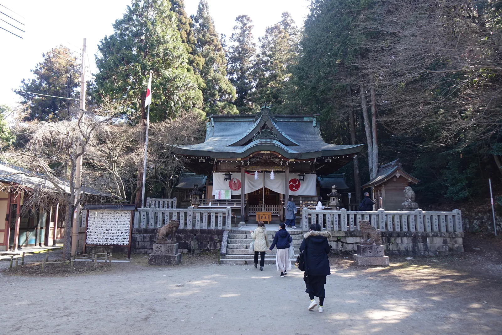 拜殿正面，隔著碎石庭。入母屋造（上半歇山、下半四坡的屋頂），銅板葺的屋面已整片轉成綠青；正面起千鳥破風（屋面上加的三角形山牆），其下再加一道軒唐破風（屋簷前緣做成波形弧線的山牆）。簷下垂兩幅白幕，右幅染左三巴，左幅染一隻龜甲兩側張出羽翼的紋樣；幕間垂注連繩（界分神域的稻草繩）與紙垂（鋸齒狀的白紙垂飾）。階前一對石造狛犬，兩側玉垣的石柱各刻一個奉納者。左側是掛滿白色籤紙的結所，右方一座境內社。國旗在左後方。