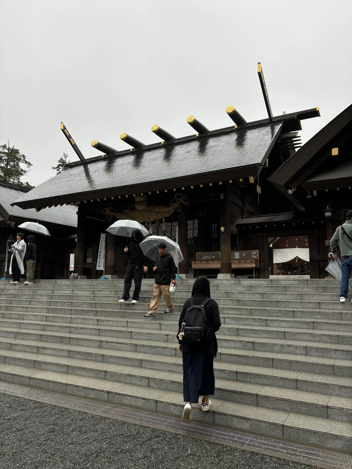 雨中登上北海道神宮神門前的寬石階，撐傘的人在石階上散開