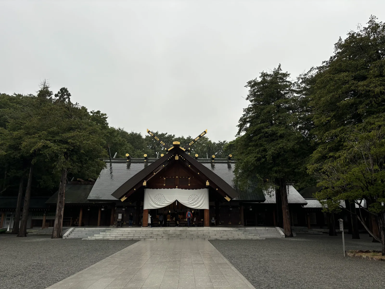 從北海道神宮神門內側望向拜殿，中庭鋪面，兩側被高樹夾住